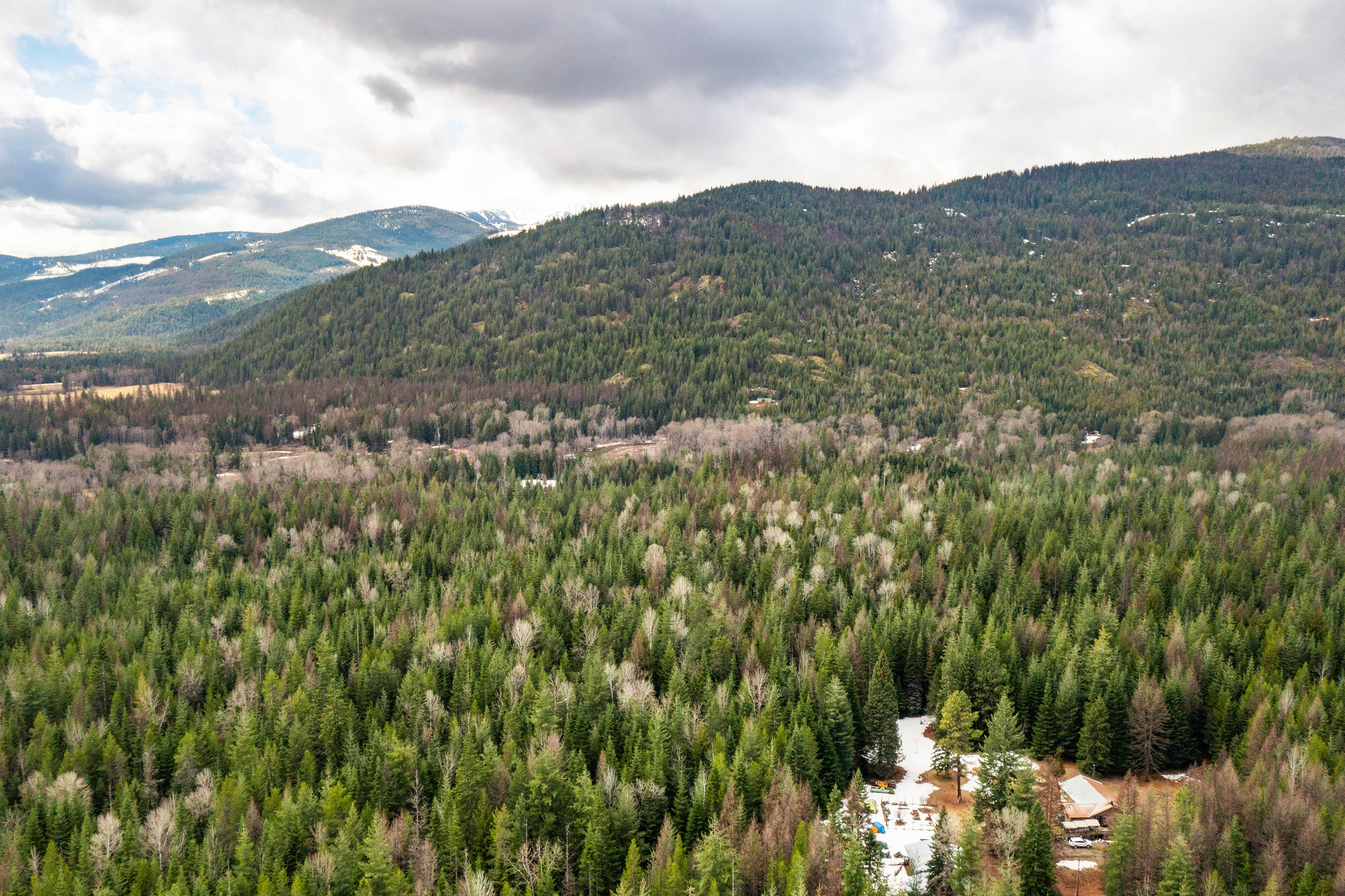 Sandpoint, Idaho, 83864, United States, ,Land,For Sale,2016068