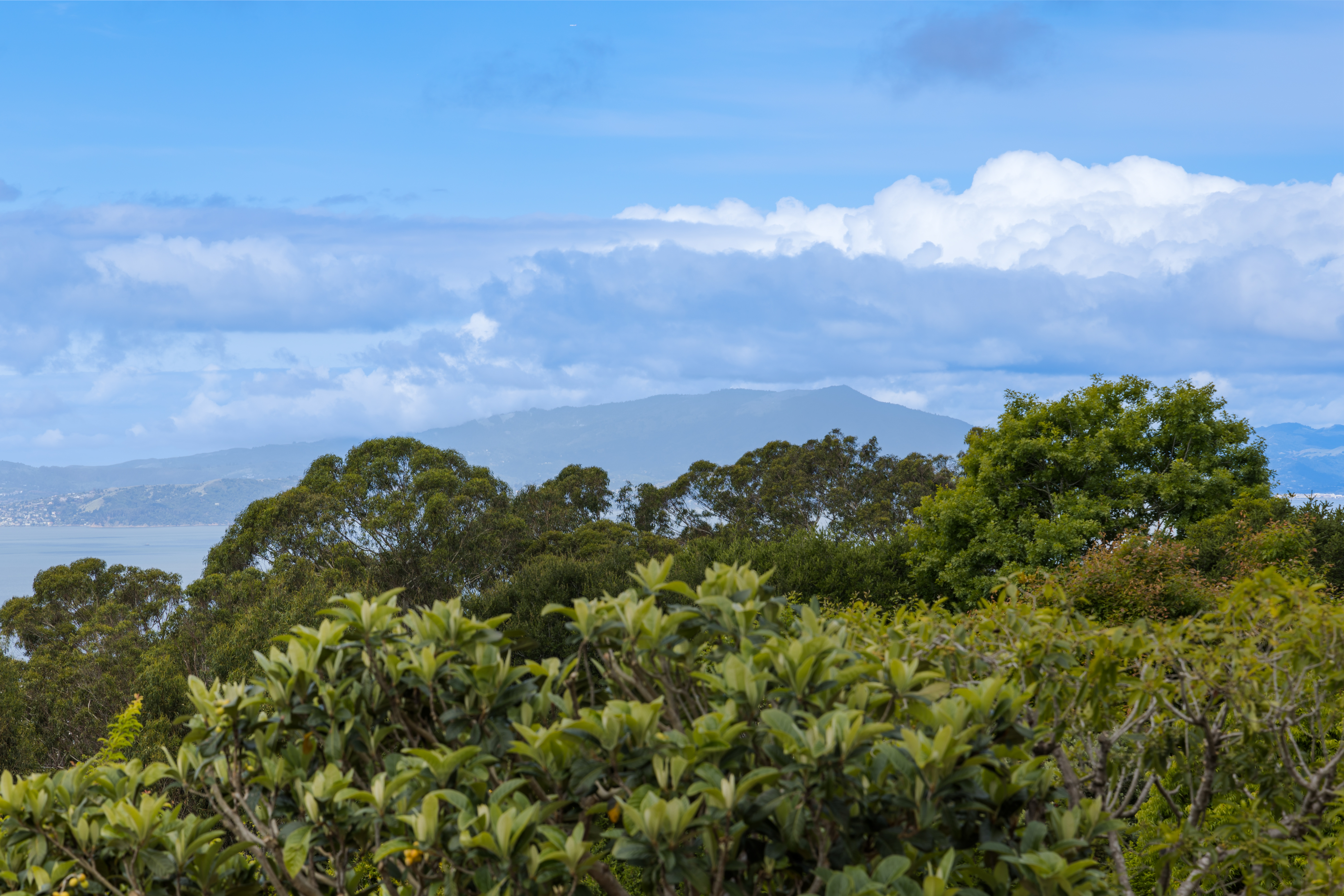  A Mediterranean Retreat Above the Bay - 物件實景