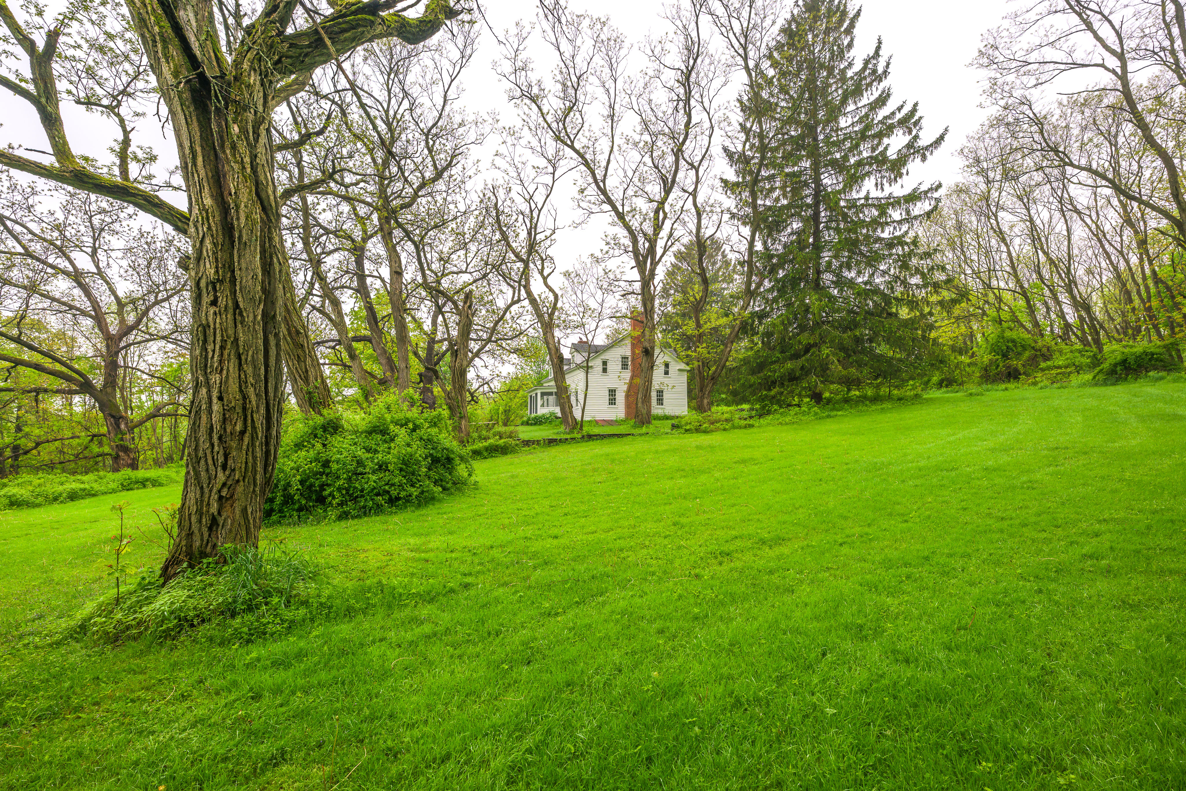  Historic Rensselaerville Federal - 物件實景