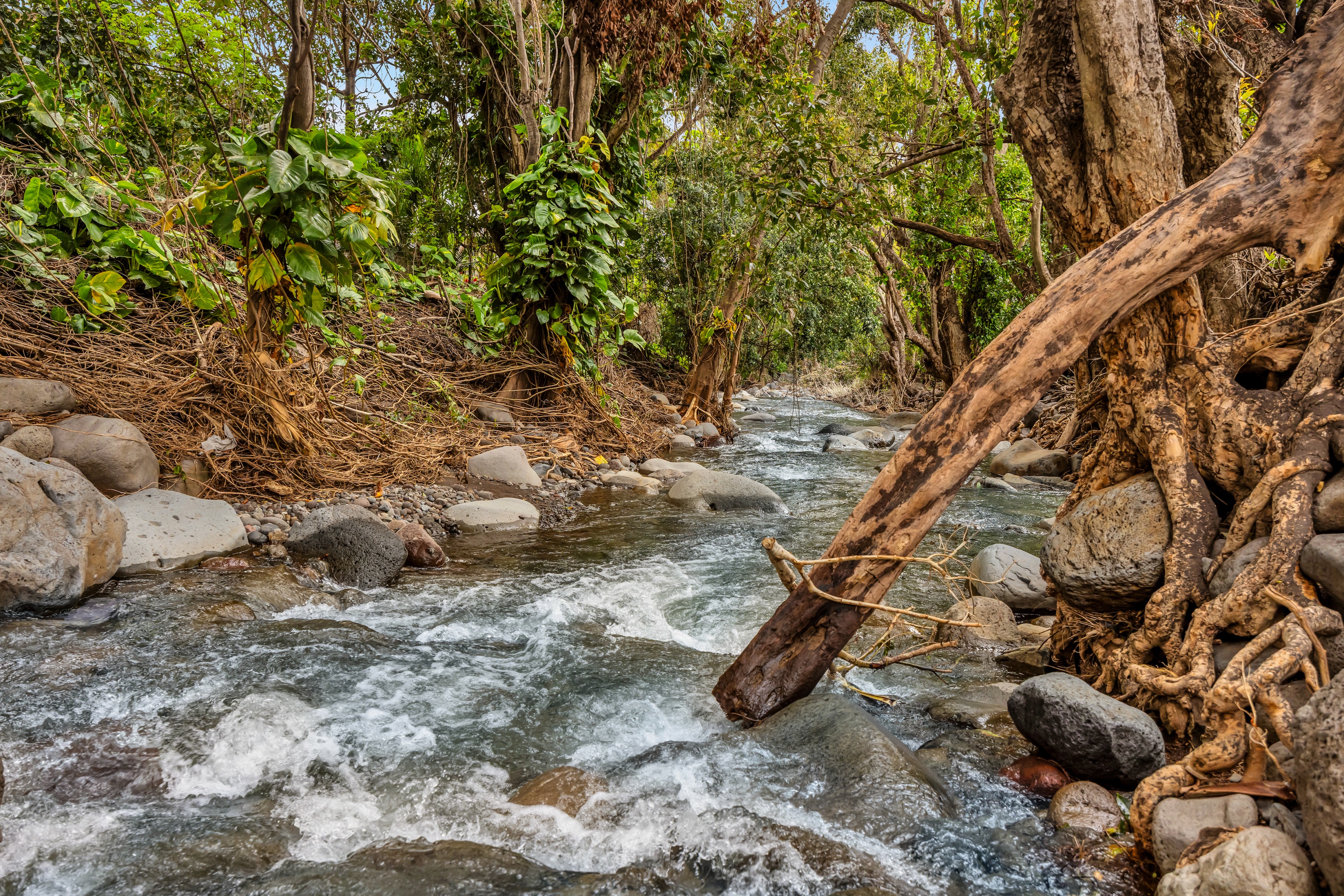  Timeless Plantation Home with Modern Upgrades - 物件實景