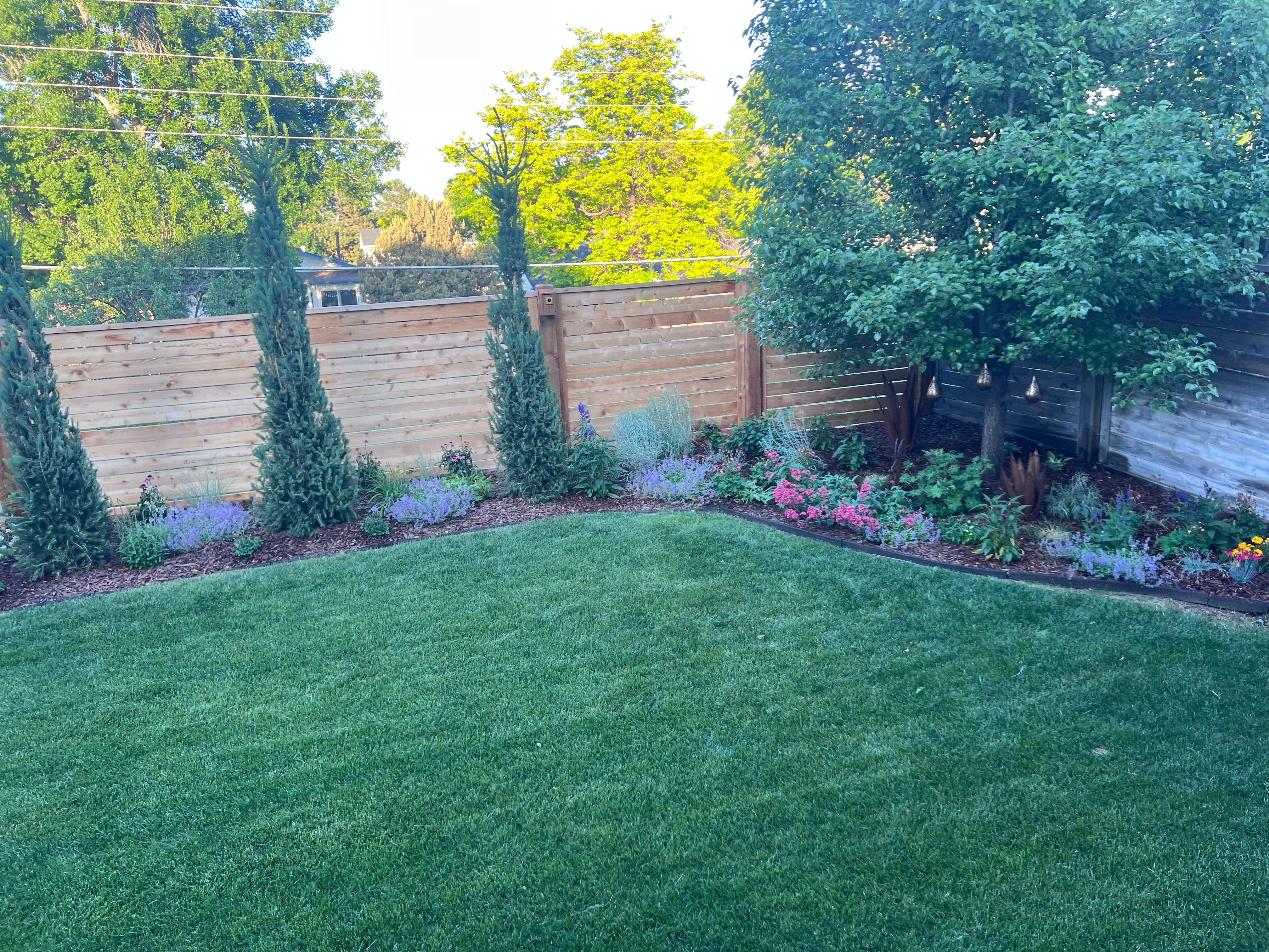  Thoughtfully  Updated and Move-In Ready - 物件實景