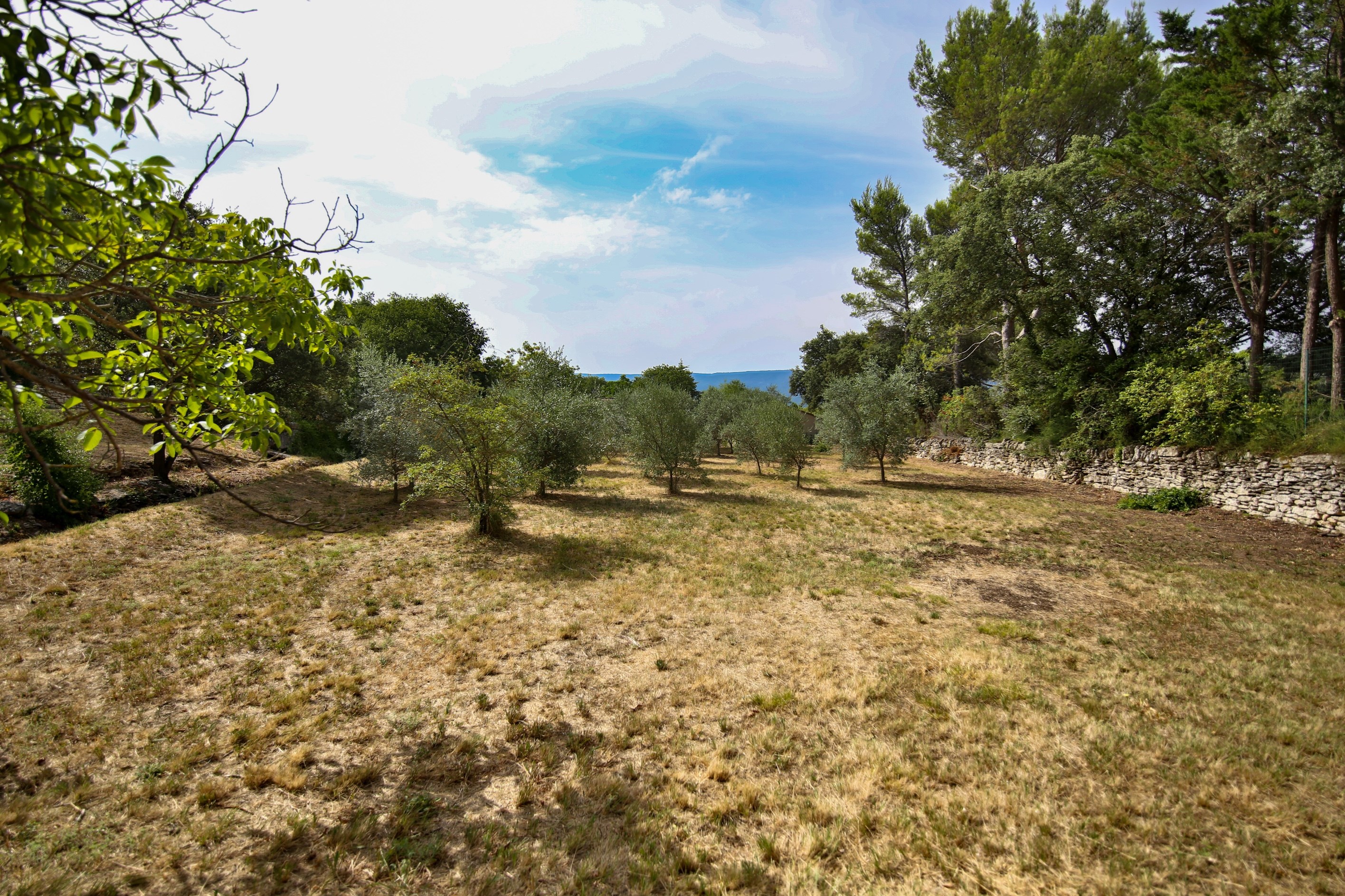  Exceptional building plot in Gordes - 物件實景