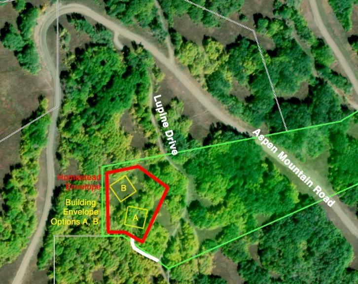 235 Lupine Dr., Crested Butte, Colorado, 81224, United States, ,Land,For Sale,235 Lupine Dr.,1431090