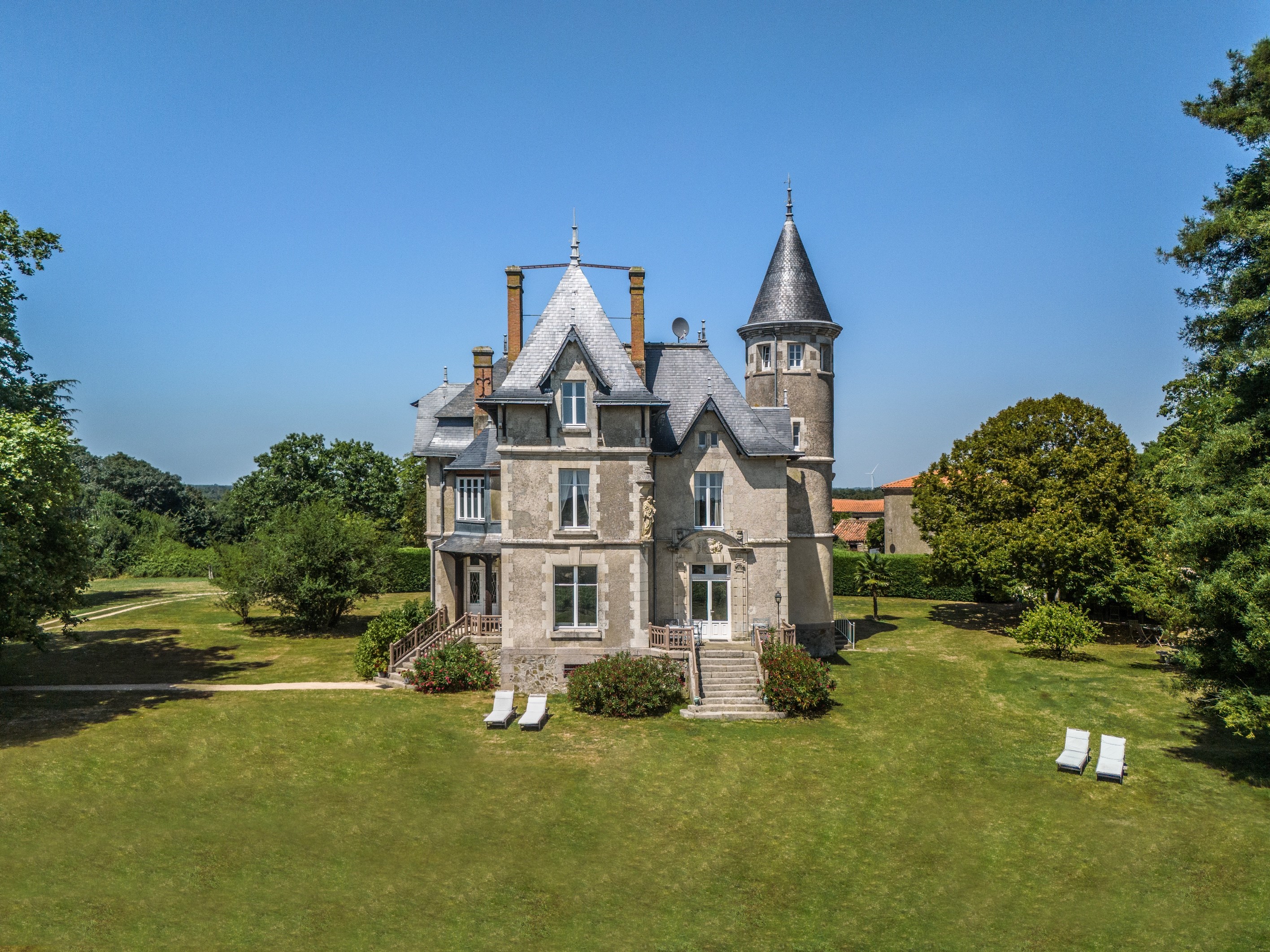  Elegant 19th château with guesthouses and vineyard - 物件實景