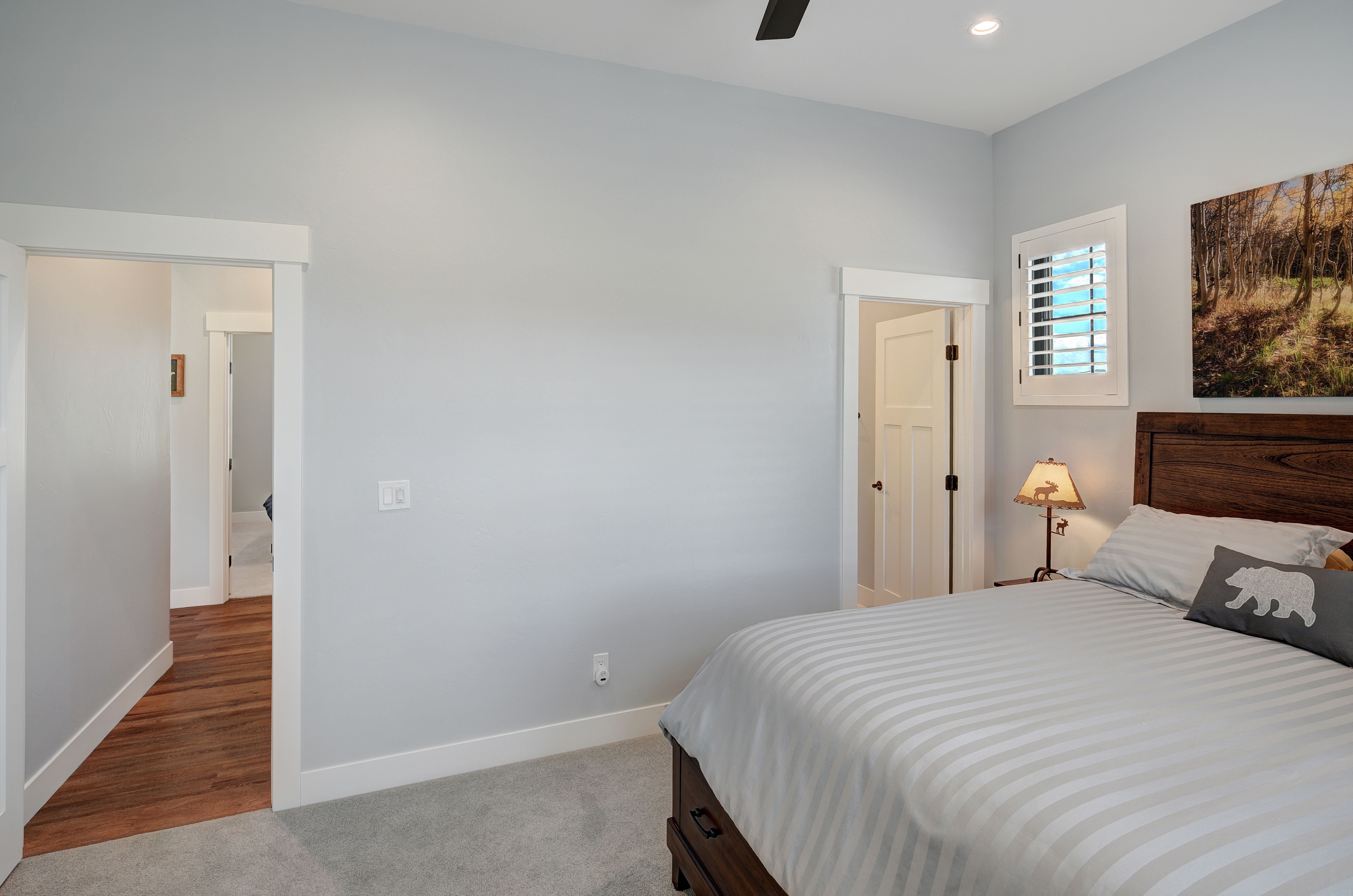  31307 Great Peaks Drive, Buena Vista, CO 81211 - 物件實景
