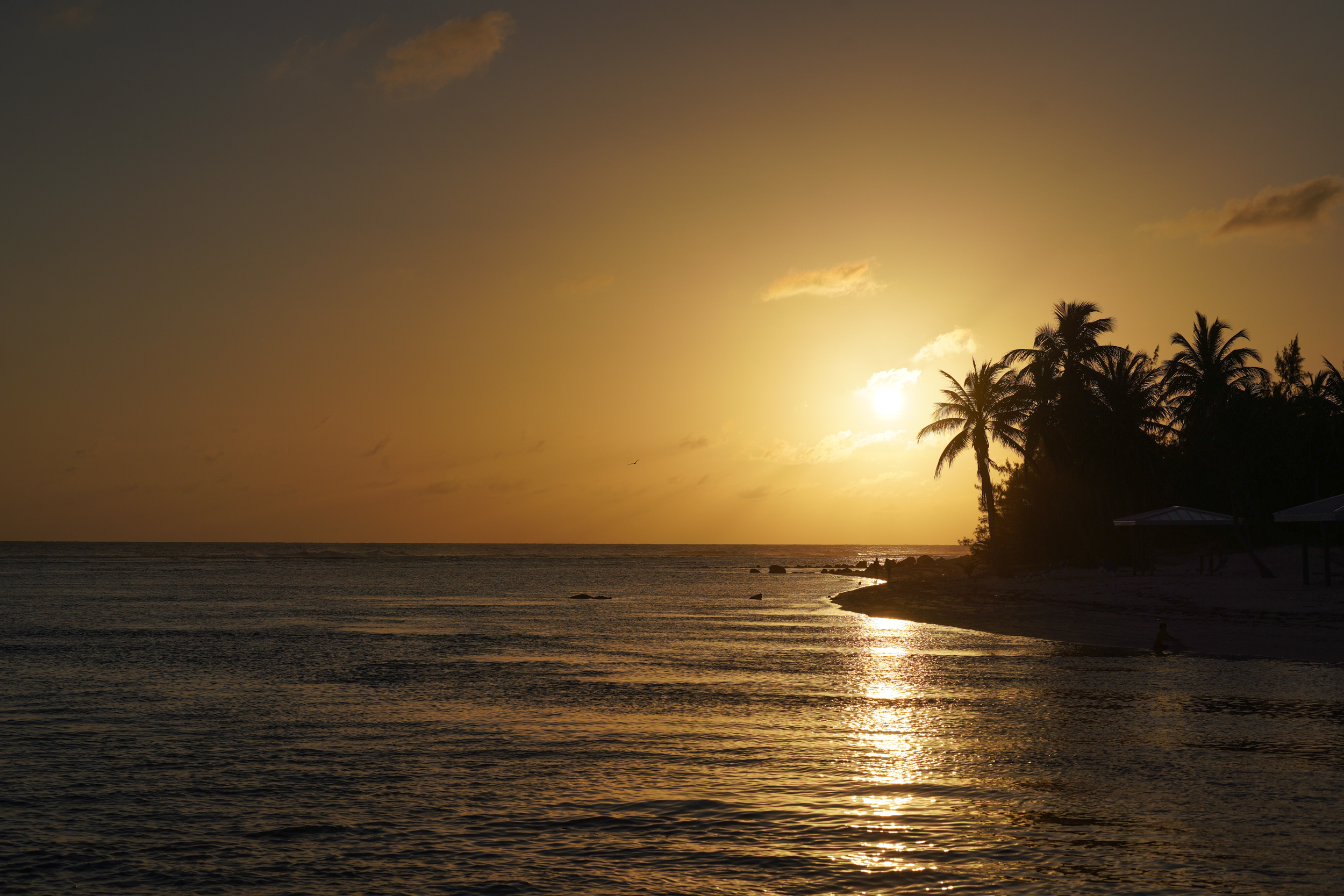  Oceanfront Large Land Parcel - 物件實景