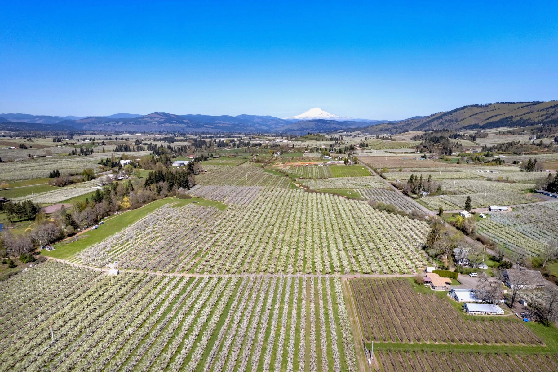  3316 THOMSEN RD Hood River, OR 97031 - 物件實景