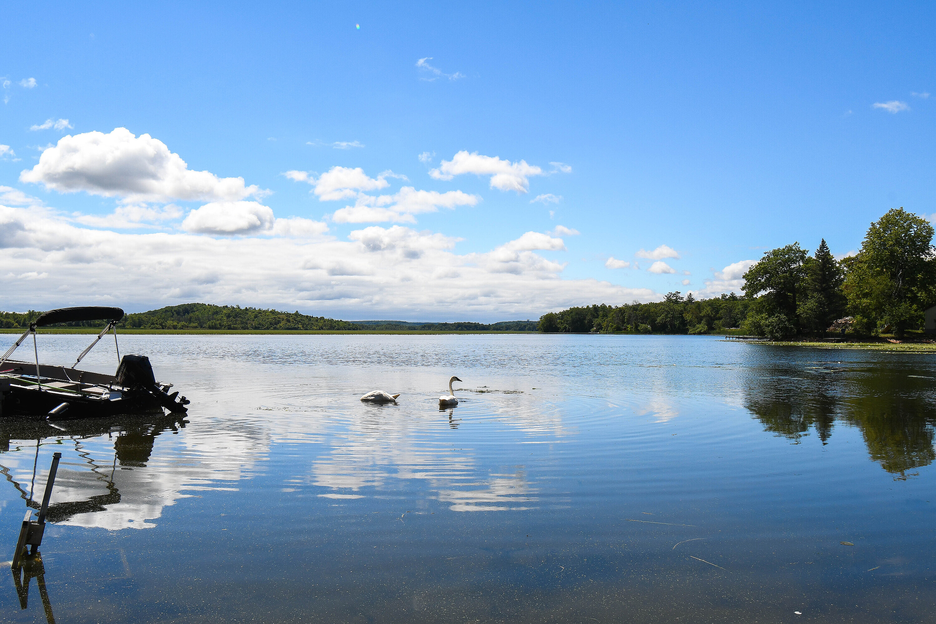  Bungalow on Trent River - 物件實景