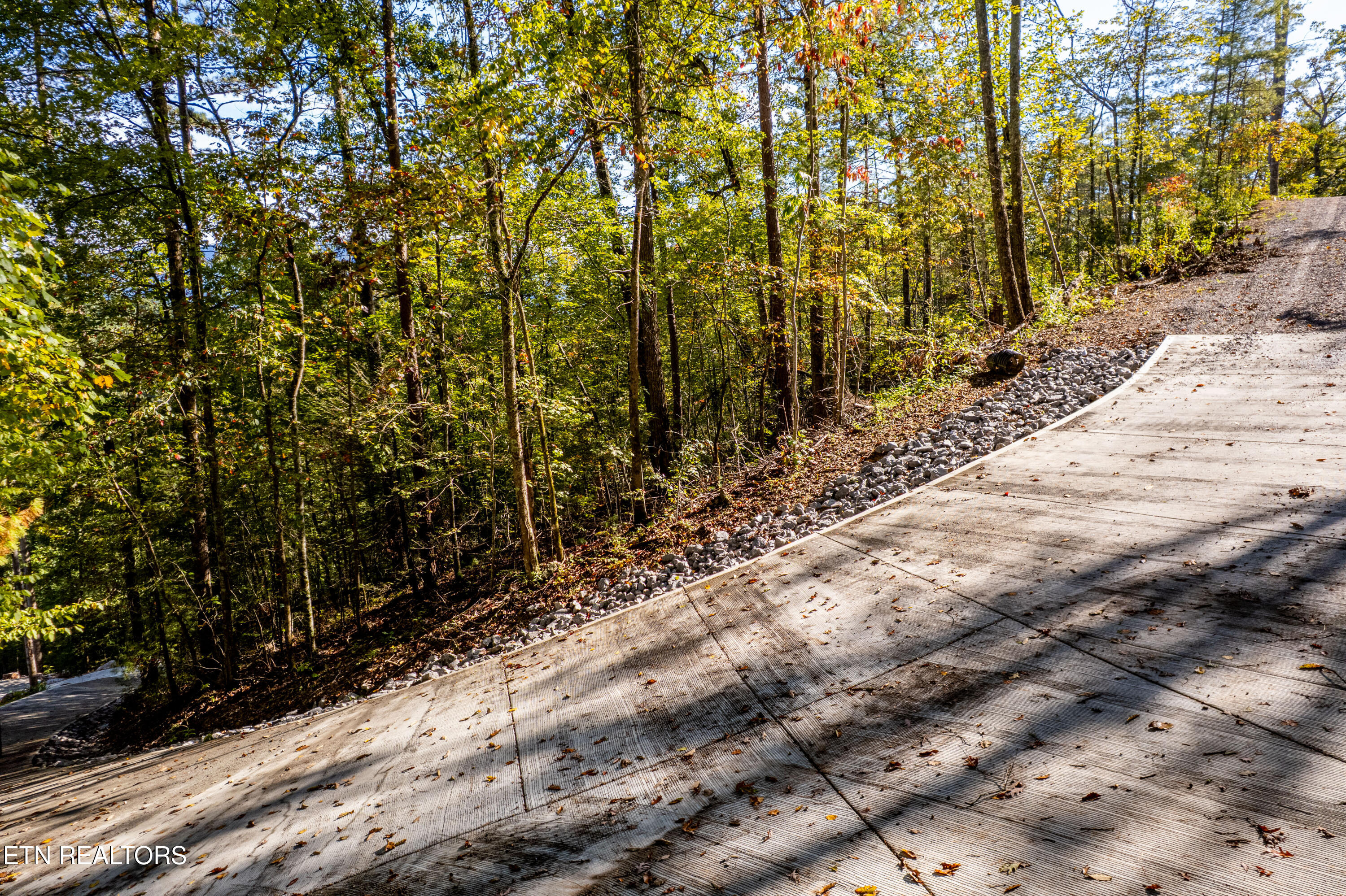 Townsend, Tennessee, 37882, United States, ,Land,For Sale,1982643
