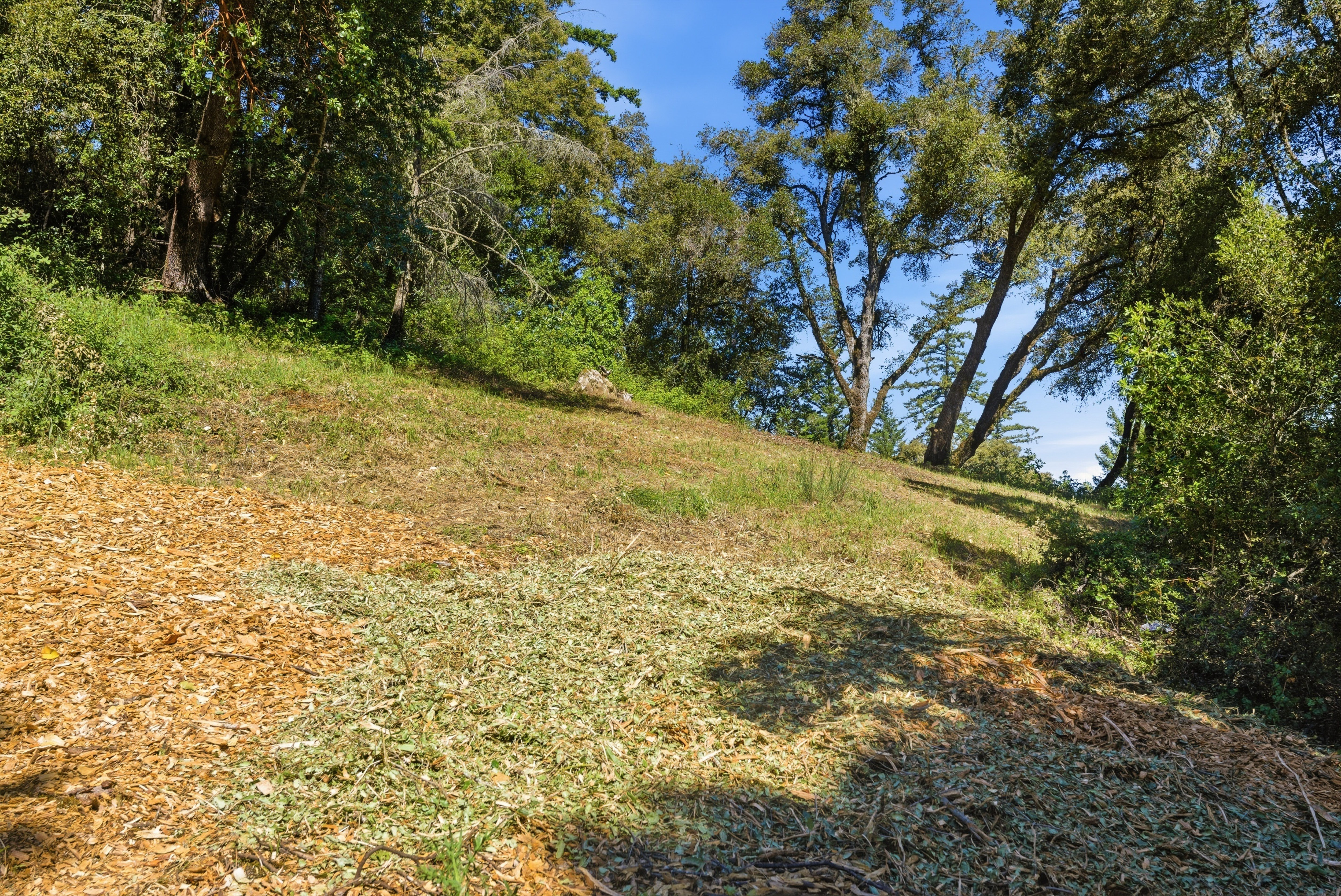  Exceptional Five-Acre Estate Opportunity with Bay Area Views - 物件實景