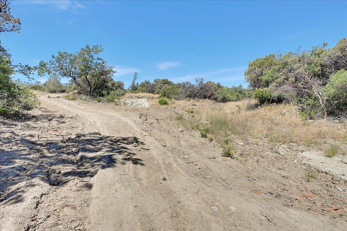 Oregon House, California, 95962, United States, ,Land,For Sale,1975767