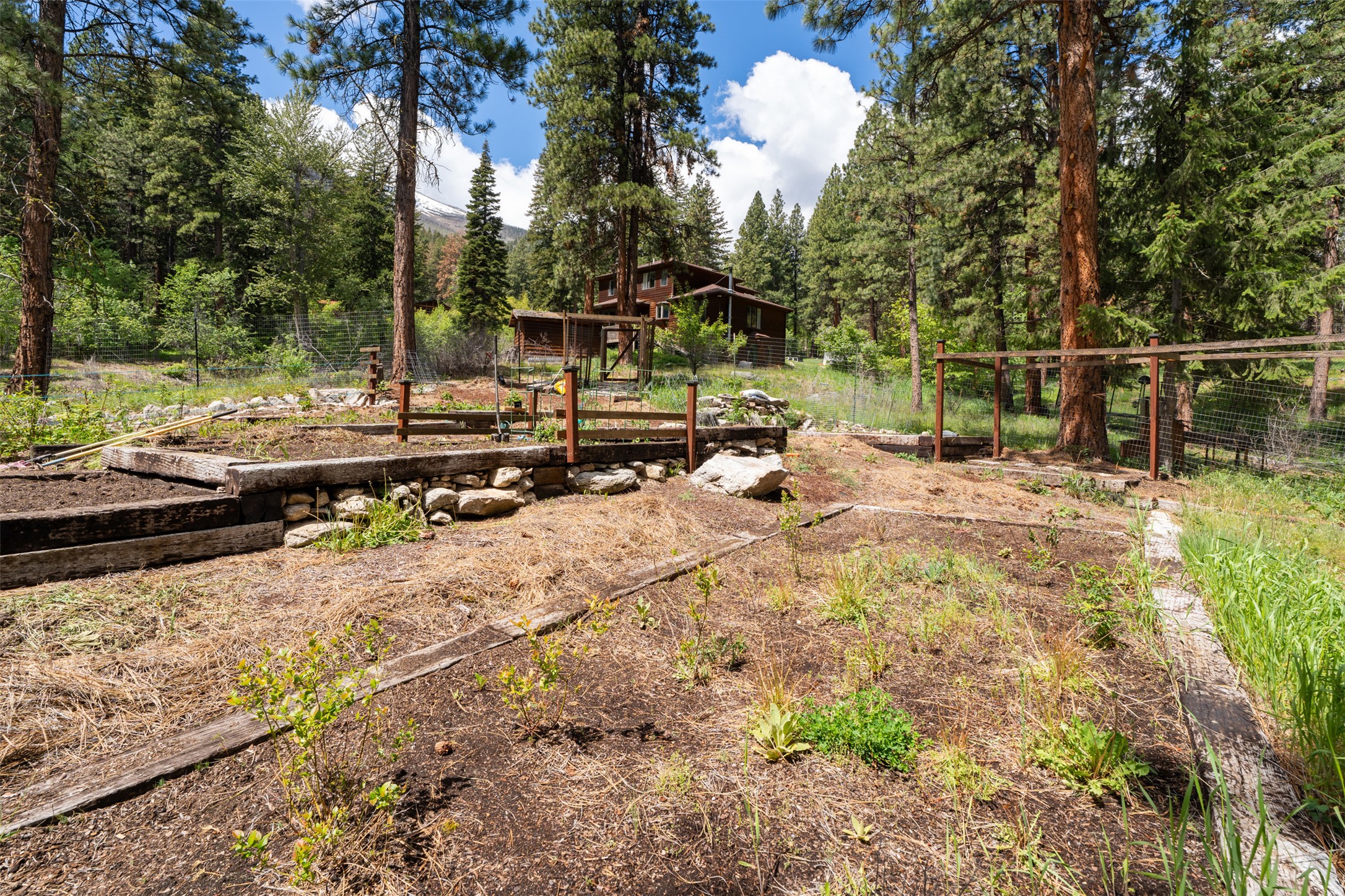  363 Owings Creek Road, Hamilton, MT, 59840 - 物件實景
