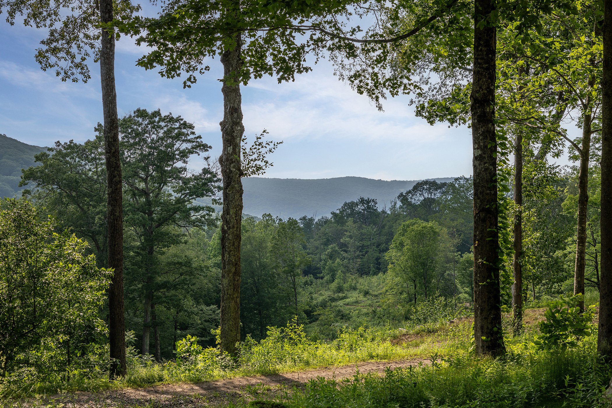  178 Carter Road - 物件實景
