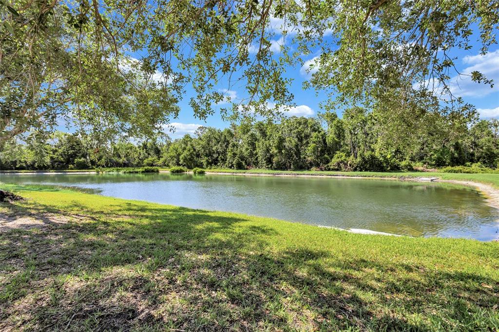 Bradenton, Florida, 34212, United States, 4 Bedrooms Bedrooms, ,3 BathroomsBathrooms,Residential,For Sale,1826992
