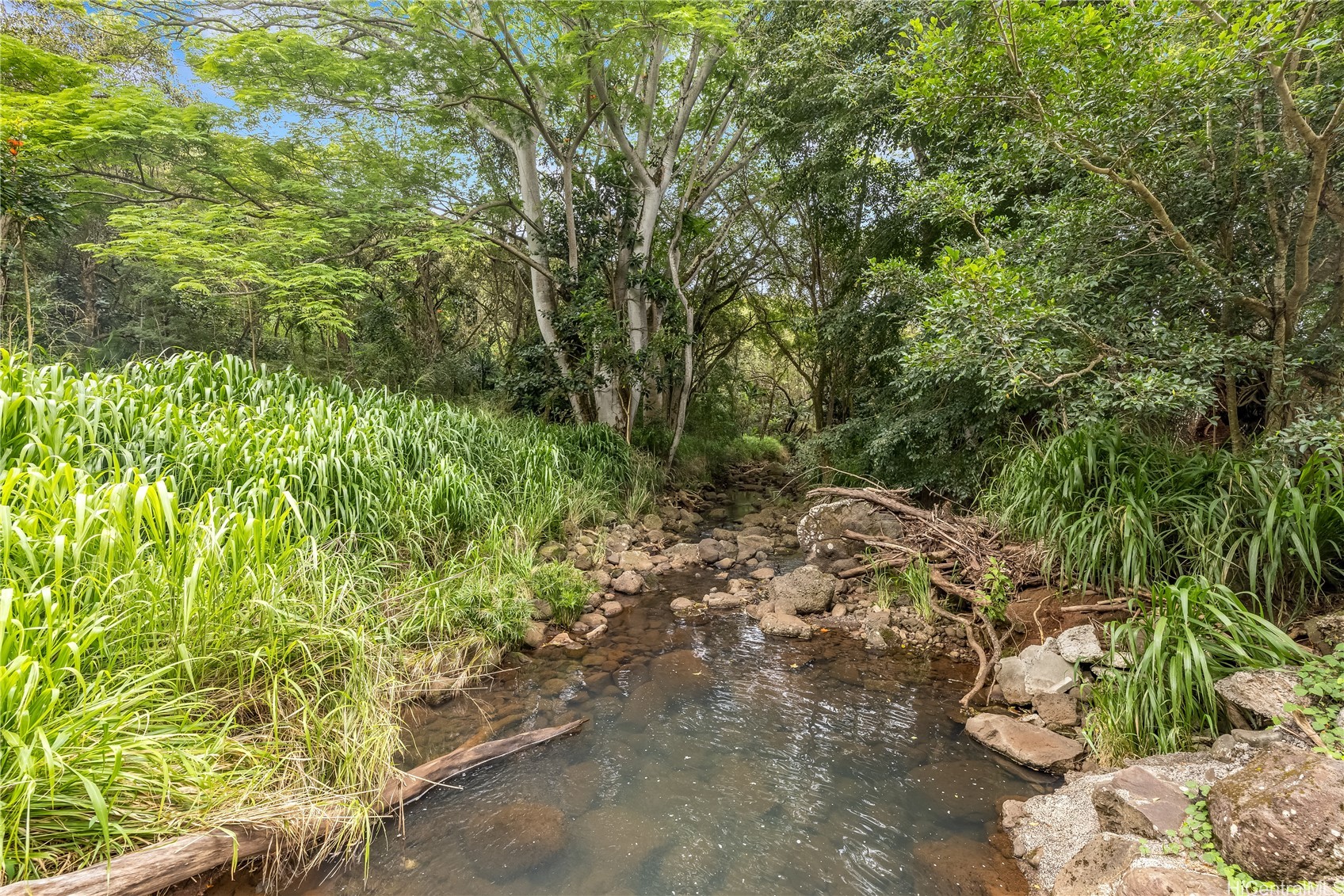 Aiea, Hawaii, 96701, United States, ,Land,For Sale,1987788