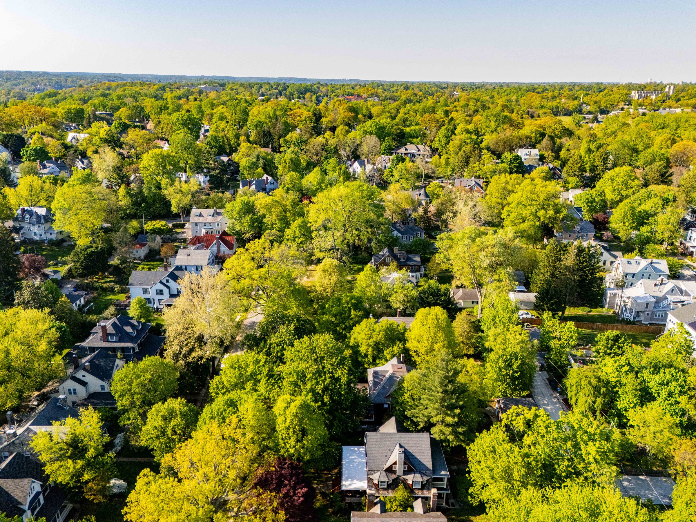  ROLAND PARK - 物件實景