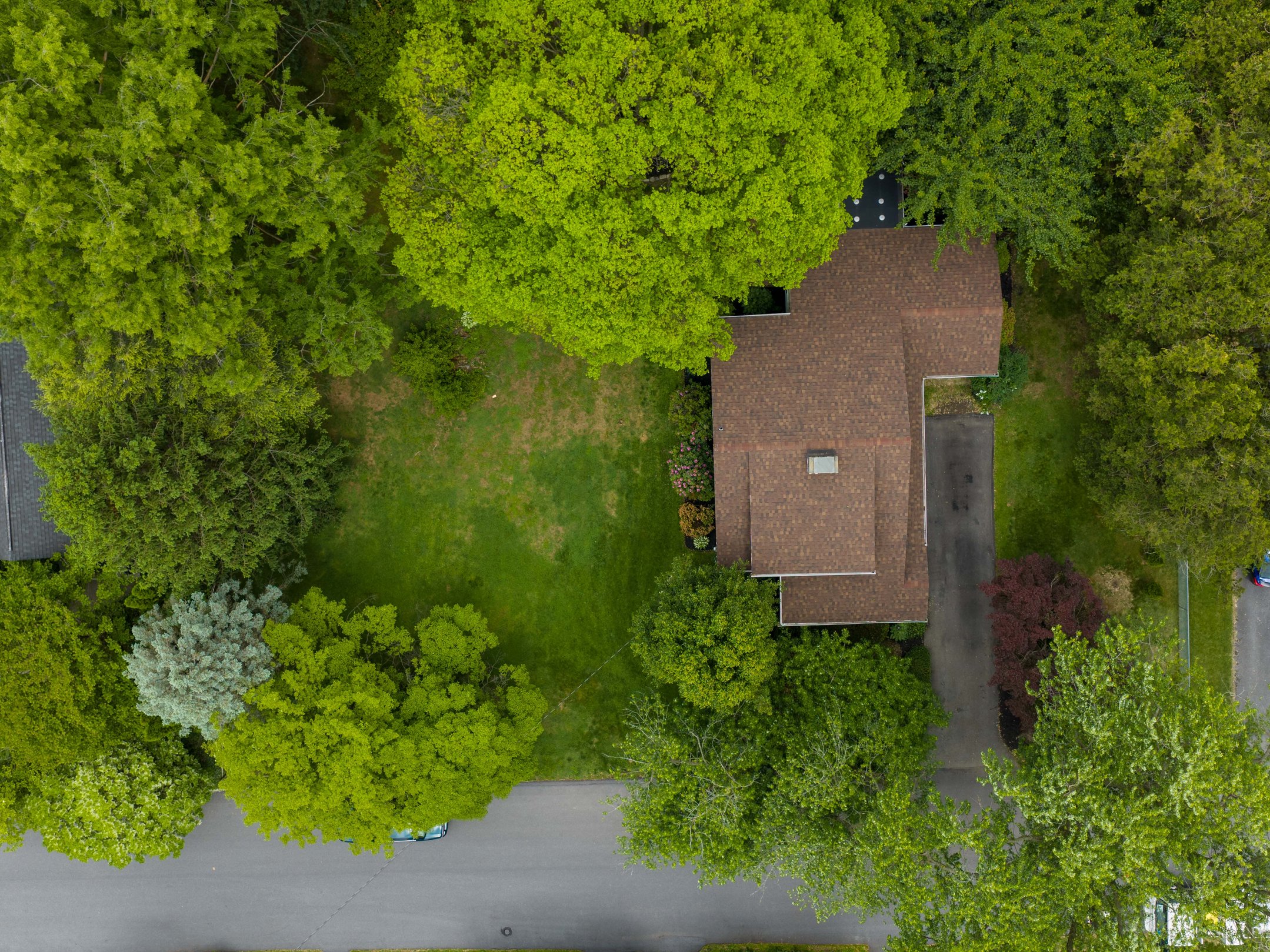  115 Grandview Ave - 物件實景