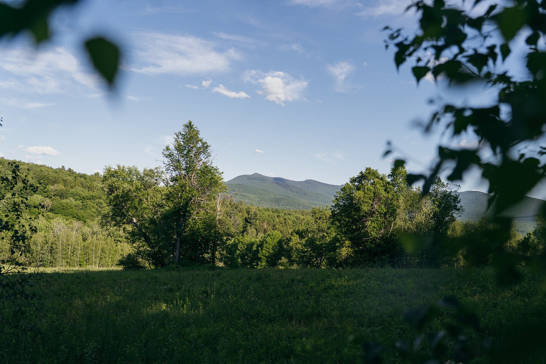  Sutton, Eastern Townships - 物件實景
