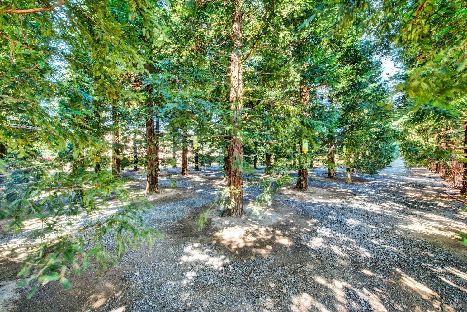 Vacaville, California, 95688, United States, 4 Bedrooms Bedrooms, ,4 BathroomsBathrooms,Residential,For Sale,1991158