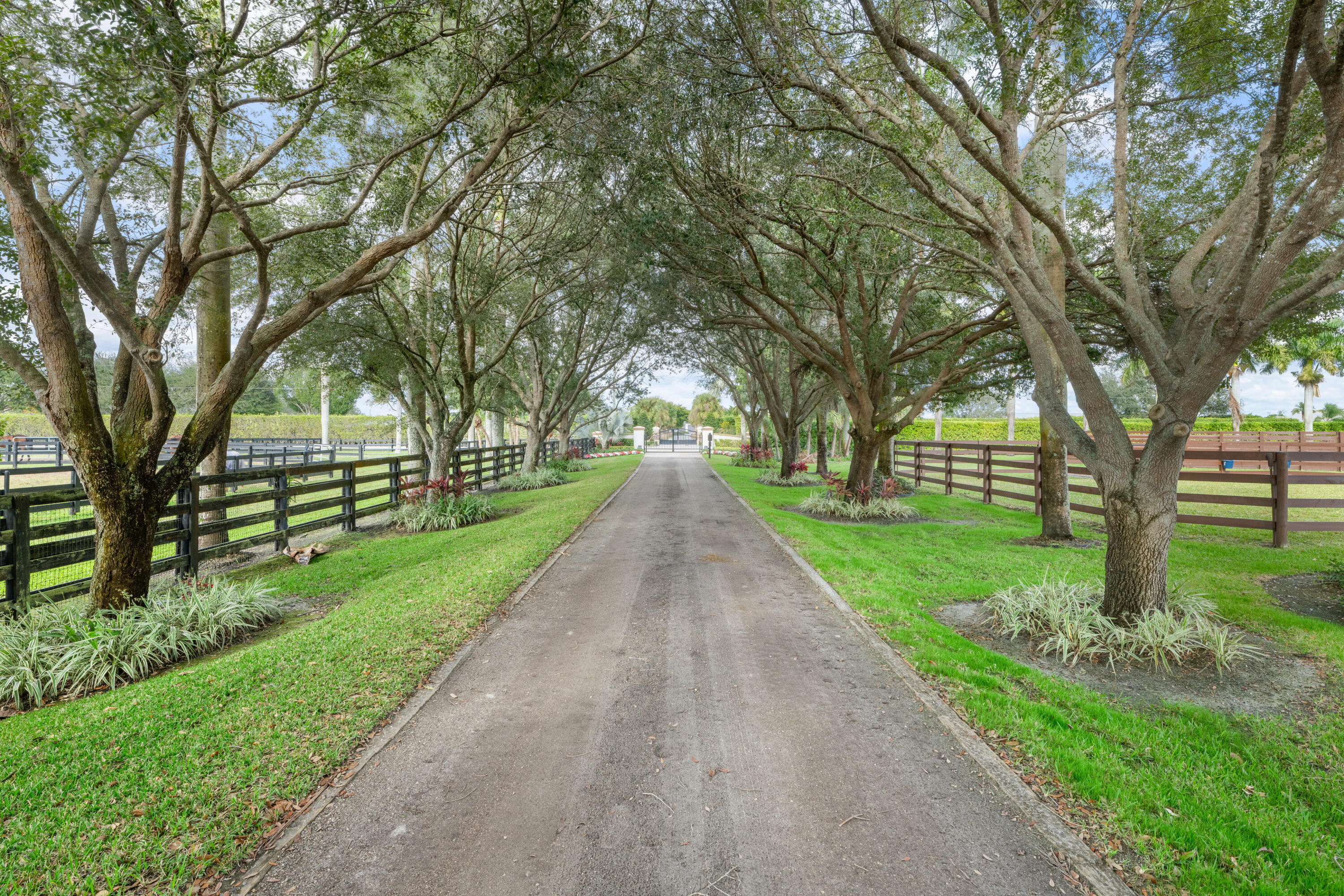  14750 Palm Beach Point Boulevard - 物件實景