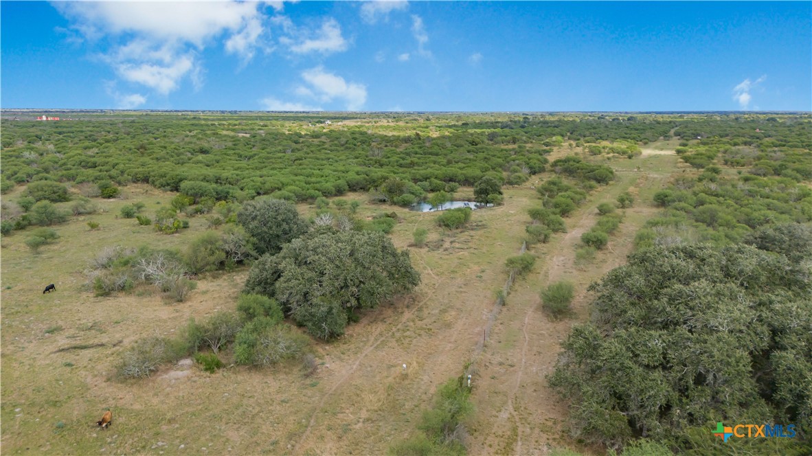 Tivoli, Texas, 77990, United States, ,Land,For Sale,1996181