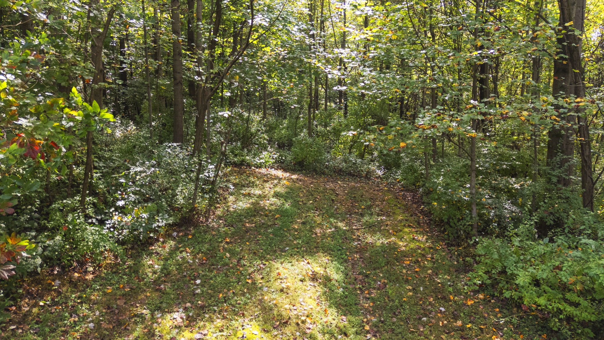 Bloomfield, Indiana, 47424, United States, 3 Bedrooms Bedrooms, ,2 BathroomsBathrooms,Residential,For Sale,1976098