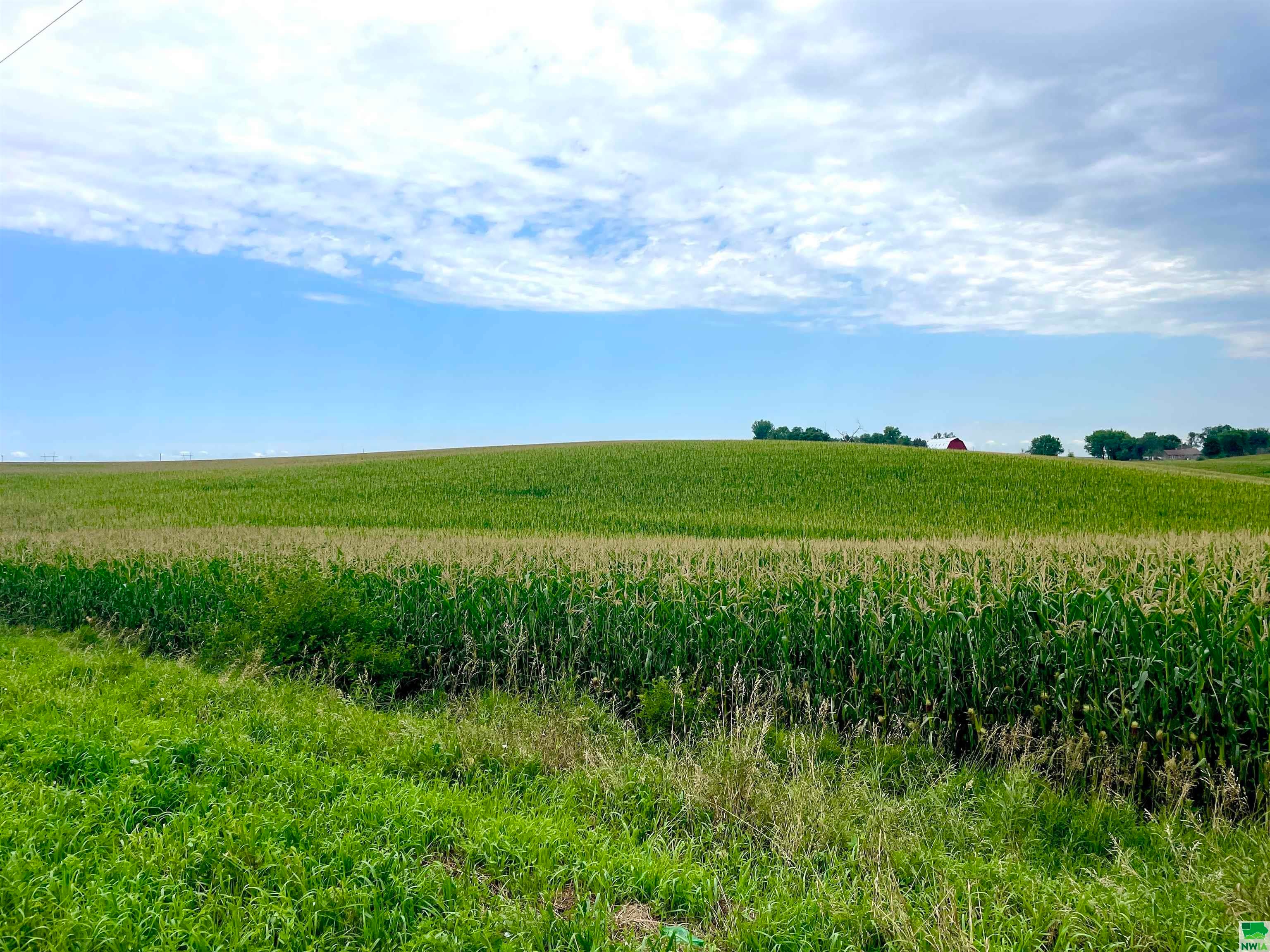 TBD Old Hwy 141, Sergeant Bluff, Iowa, 51054, United States, ,Residential,For Sale,TBD Old Hwy 141,1437787