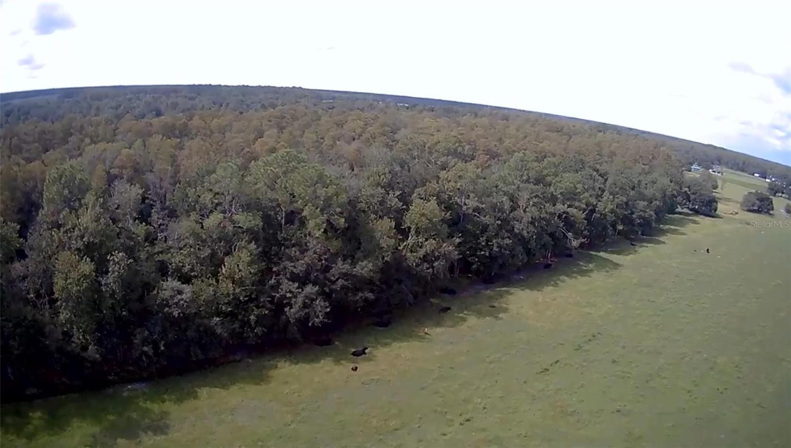 CLERMONT, Florida, 34714, United States, ,Land,For Sale,1982027