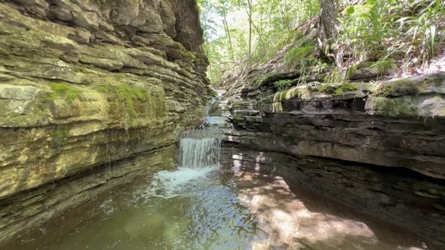 Garfield, Arkansas, 72732, United States, ,Land,For Sale,1804669