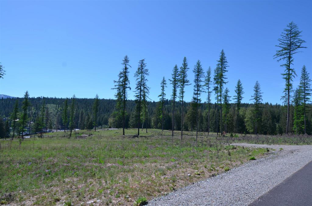 Sagle, Idaho, 83860, United States, ,Residential,For Sale,1880549