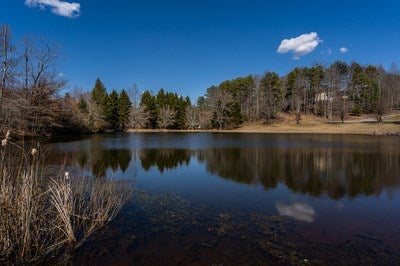 Murphy, North Carolina, 28906, United States, ,Land,For Sale,1986546
