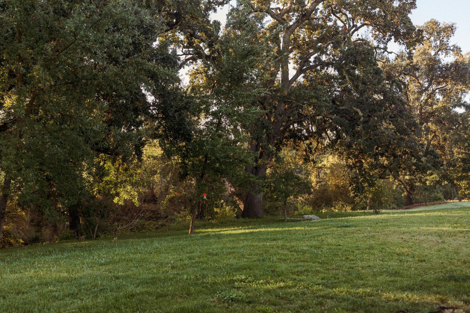 Modesto, California, 95357, United States, 4 Bedrooms Bedrooms, ,4 BathroomsBathrooms,Residential,For Sale,1976586