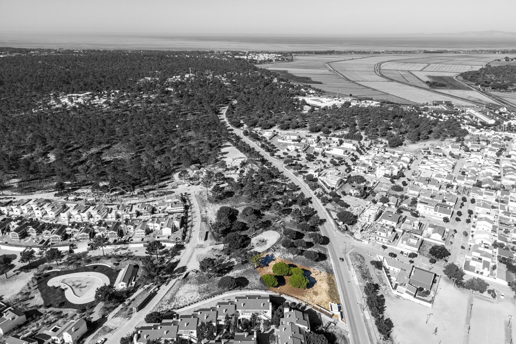  Stand for Sale - 物件實景