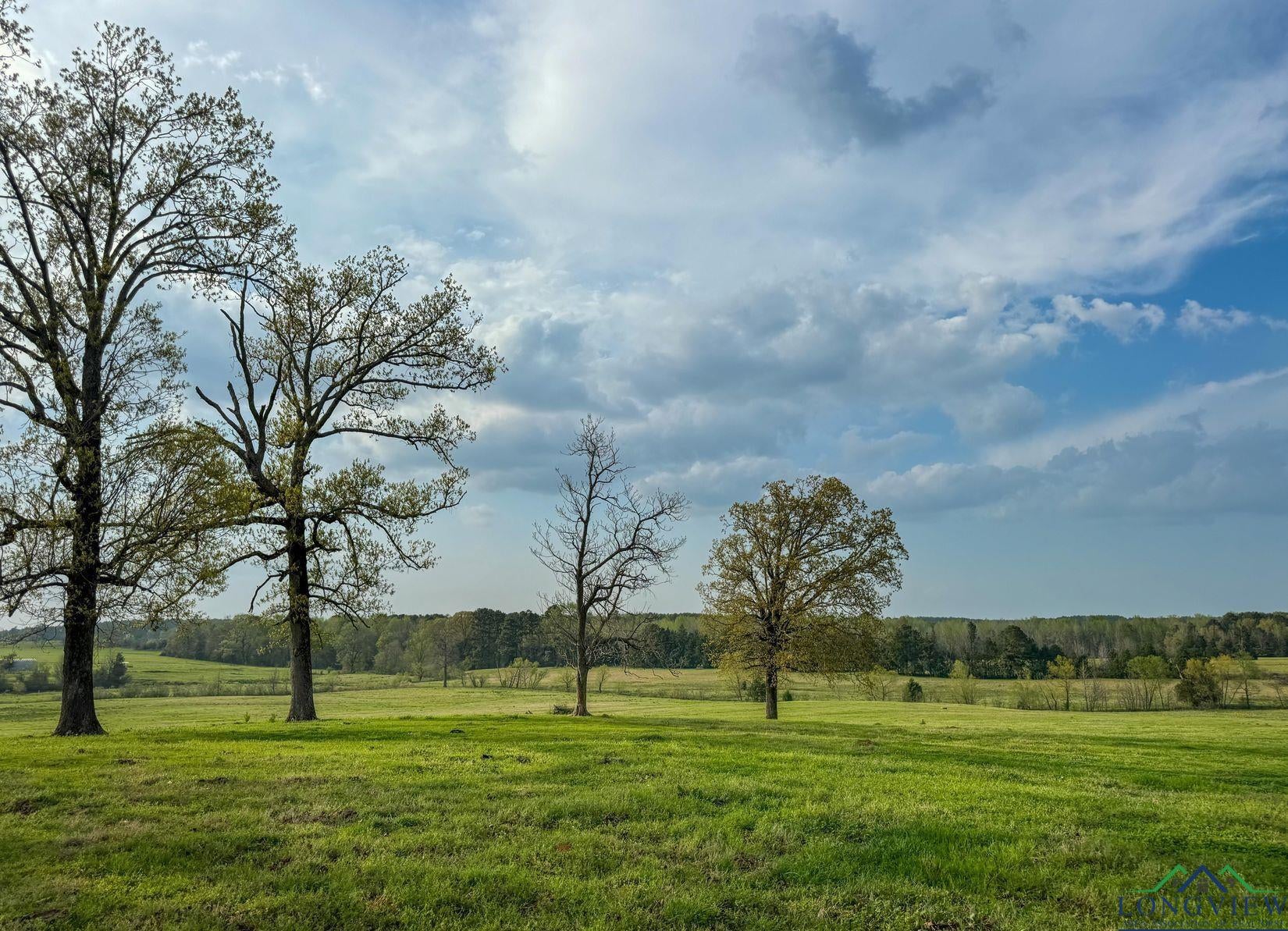 Atlanta, Texas, 75551, United States, ,Residential,For Sale,1810626