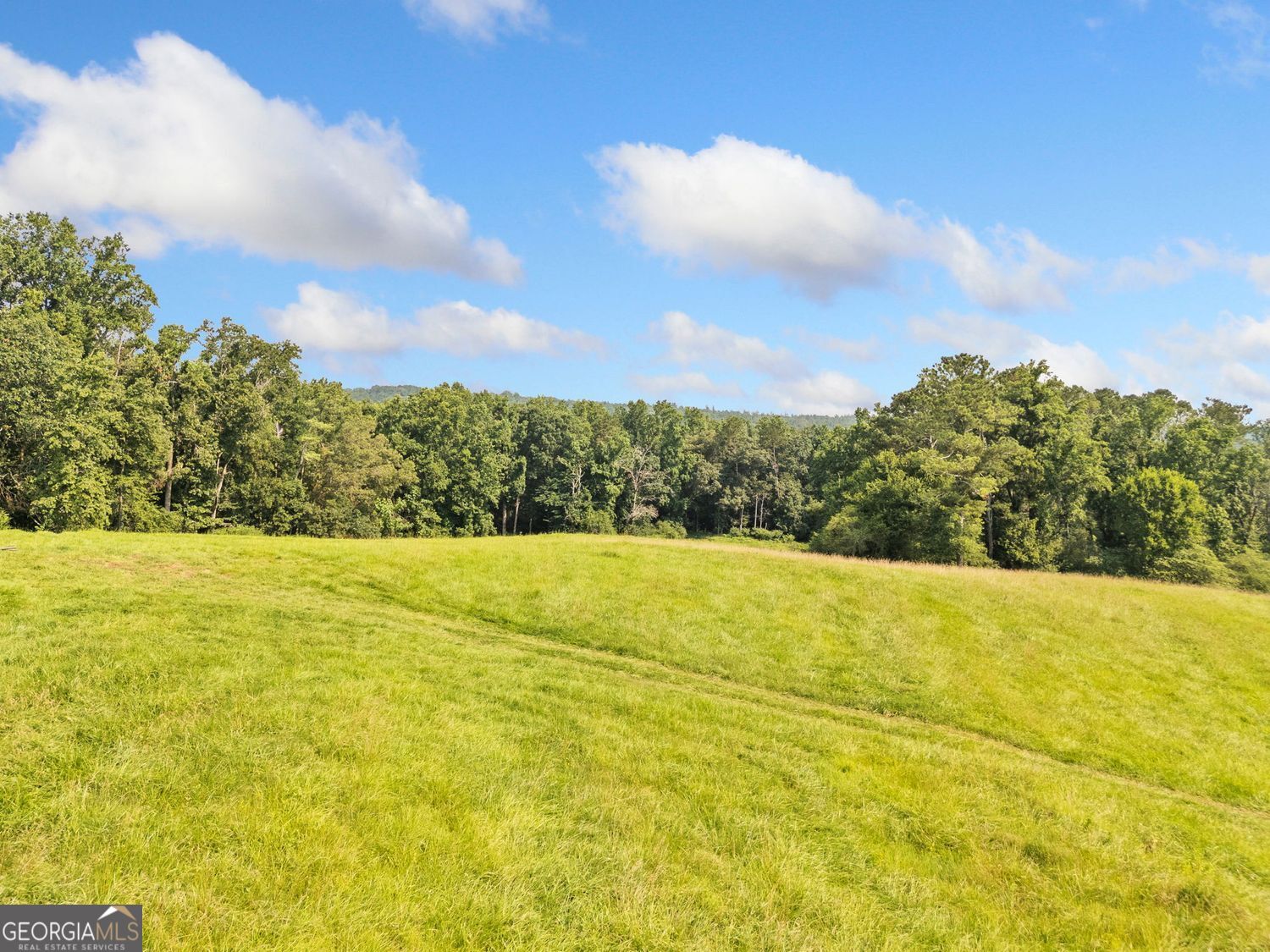 Ball Ground, Georgia, 30107, United States, ,Land,For Sale,1858966