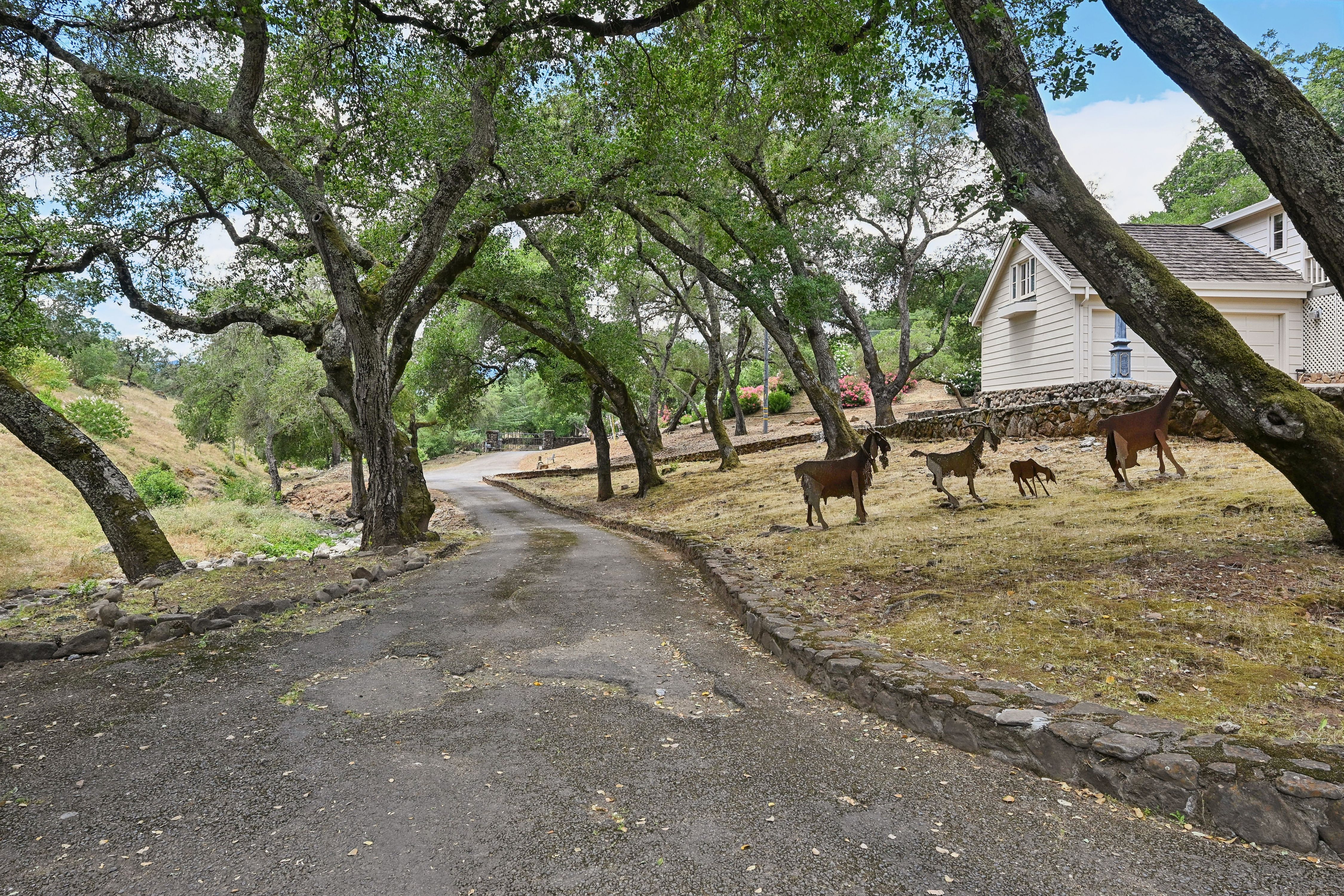  Iconic Silverado Trail Gated Estate - 物件實景
