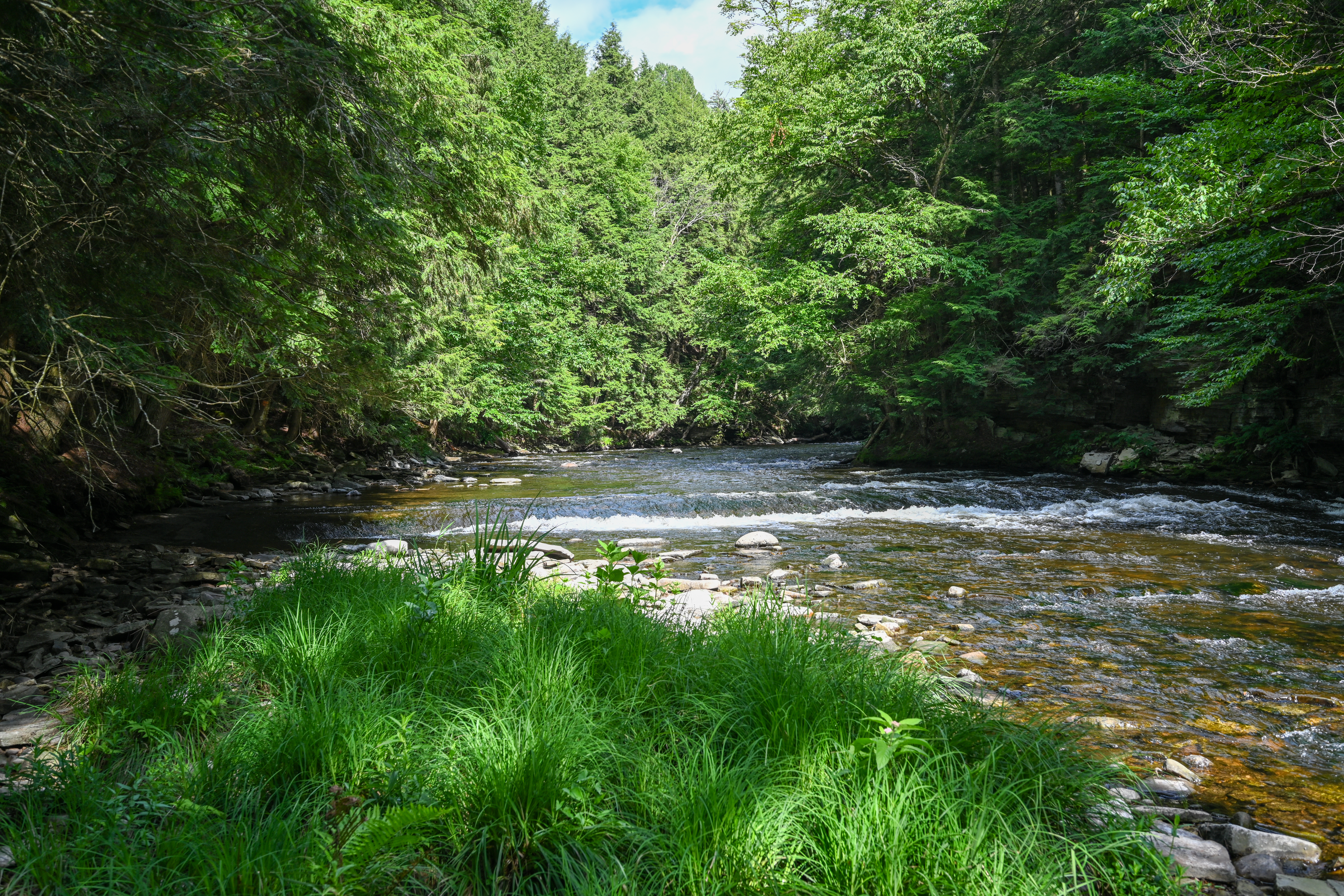  661 Chasm Road, Chateaugay, NY, 12920 - 物件實景
