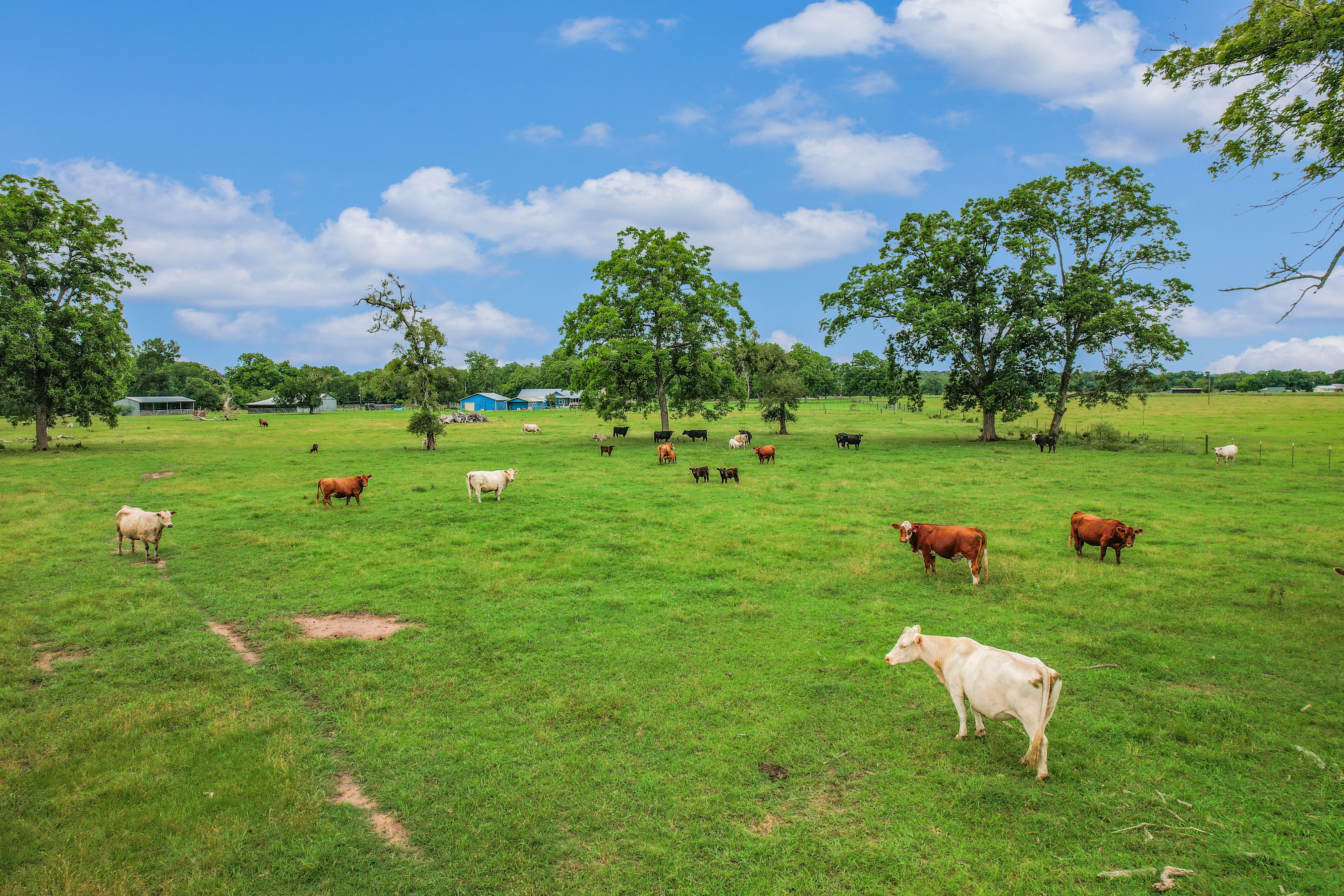  The Edwards Ranch in Bastrop County - 物件實景