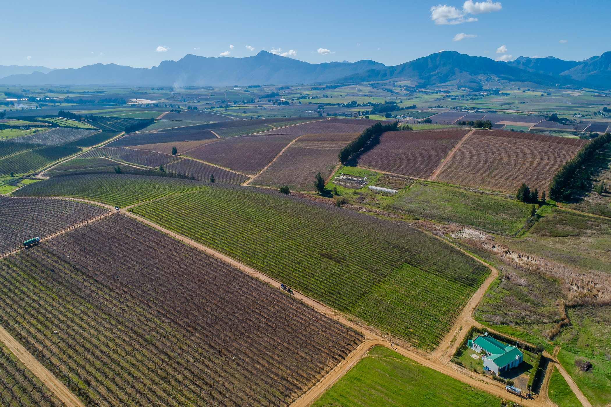  Wellington Export Farm - 物件實景