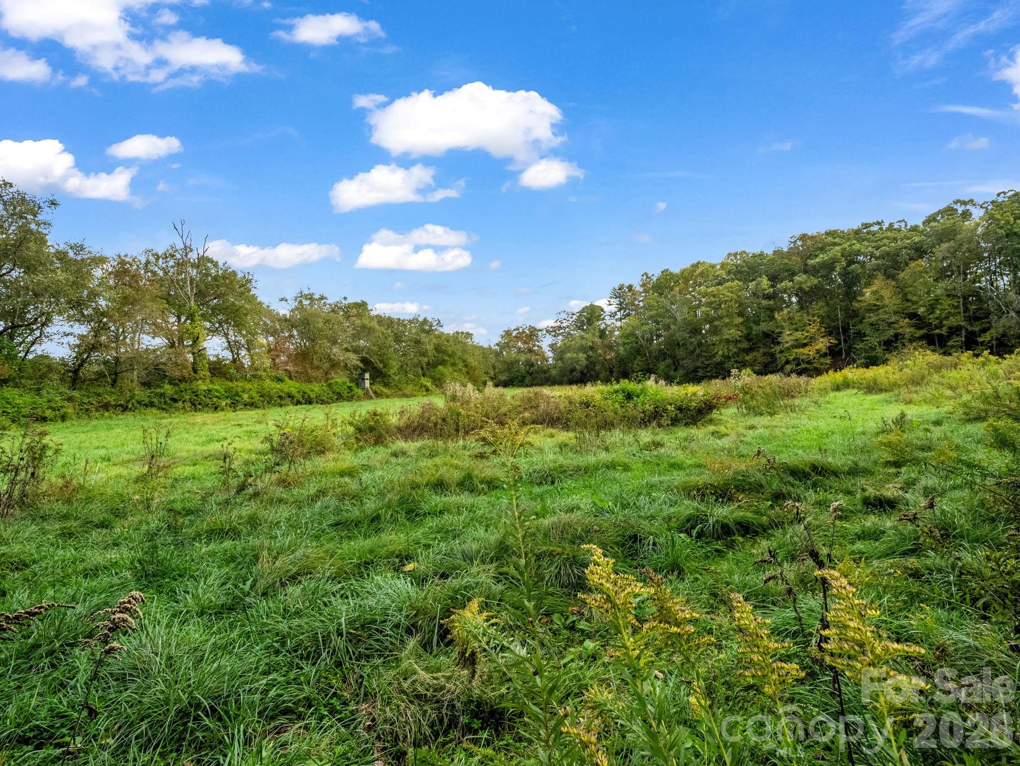 Mills River, North Carolina, 28759, United States, ,Land,For Sale,1975215