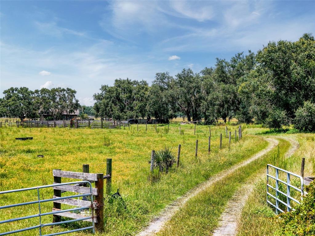 Myakka City, Florida, 34251, United States, ,Land,For Sale,1908306