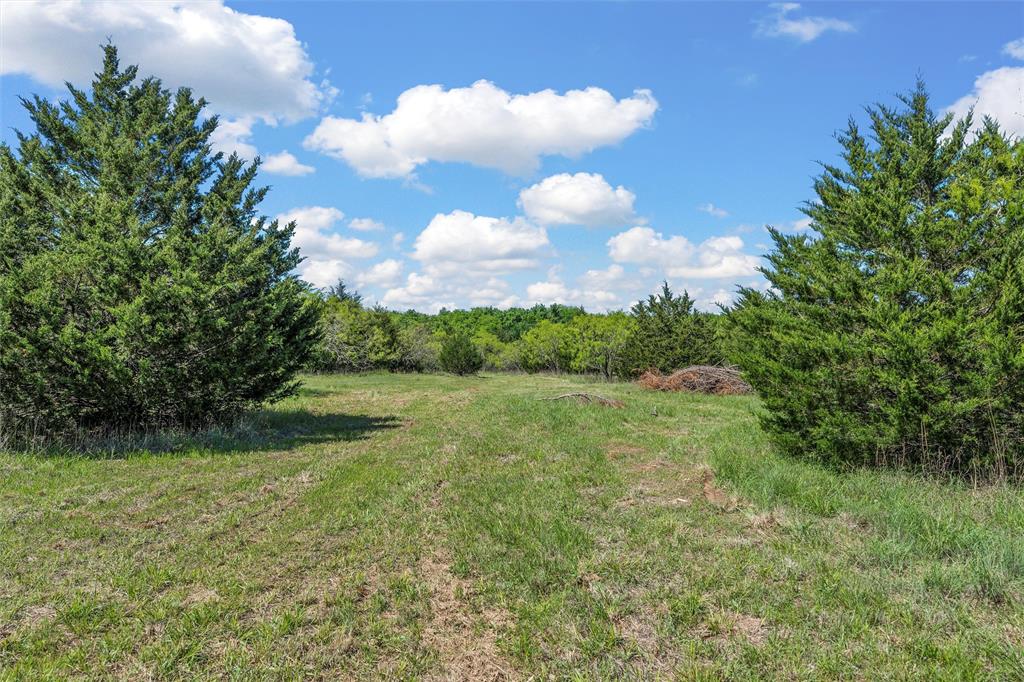 Mexia, Texas, 76667, United States, 3 Bedrooms Bedrooms, ,2 BathroomsBathrooms,Residential,For Sale,1770816