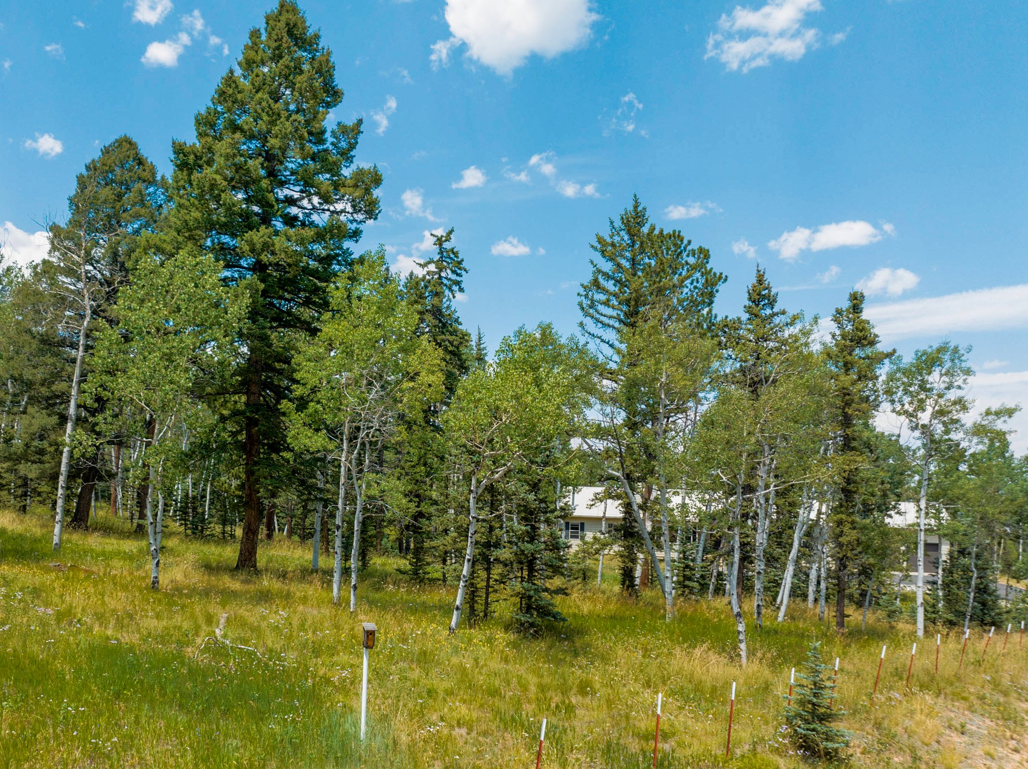 Divide, Colorado, 80814, United States, 3 Bedrooms Bedrooms, ,2 BathroomsBathrooms,Residential,For Sale,1918151