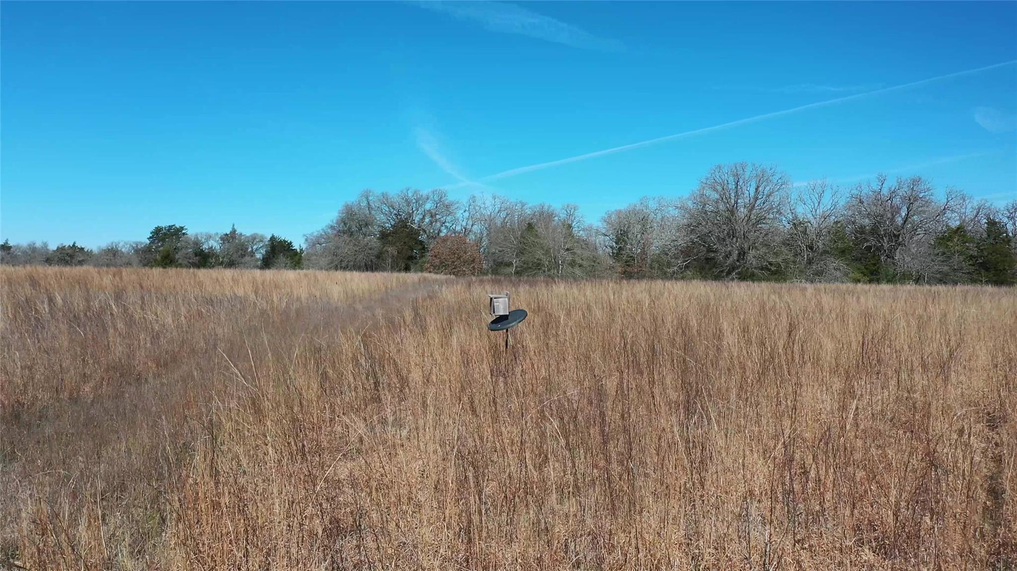 1151 Fowler Road, Bremond, Texas, 76629, United States, ,Land,For Sale,1151 Fowler Road,1621605