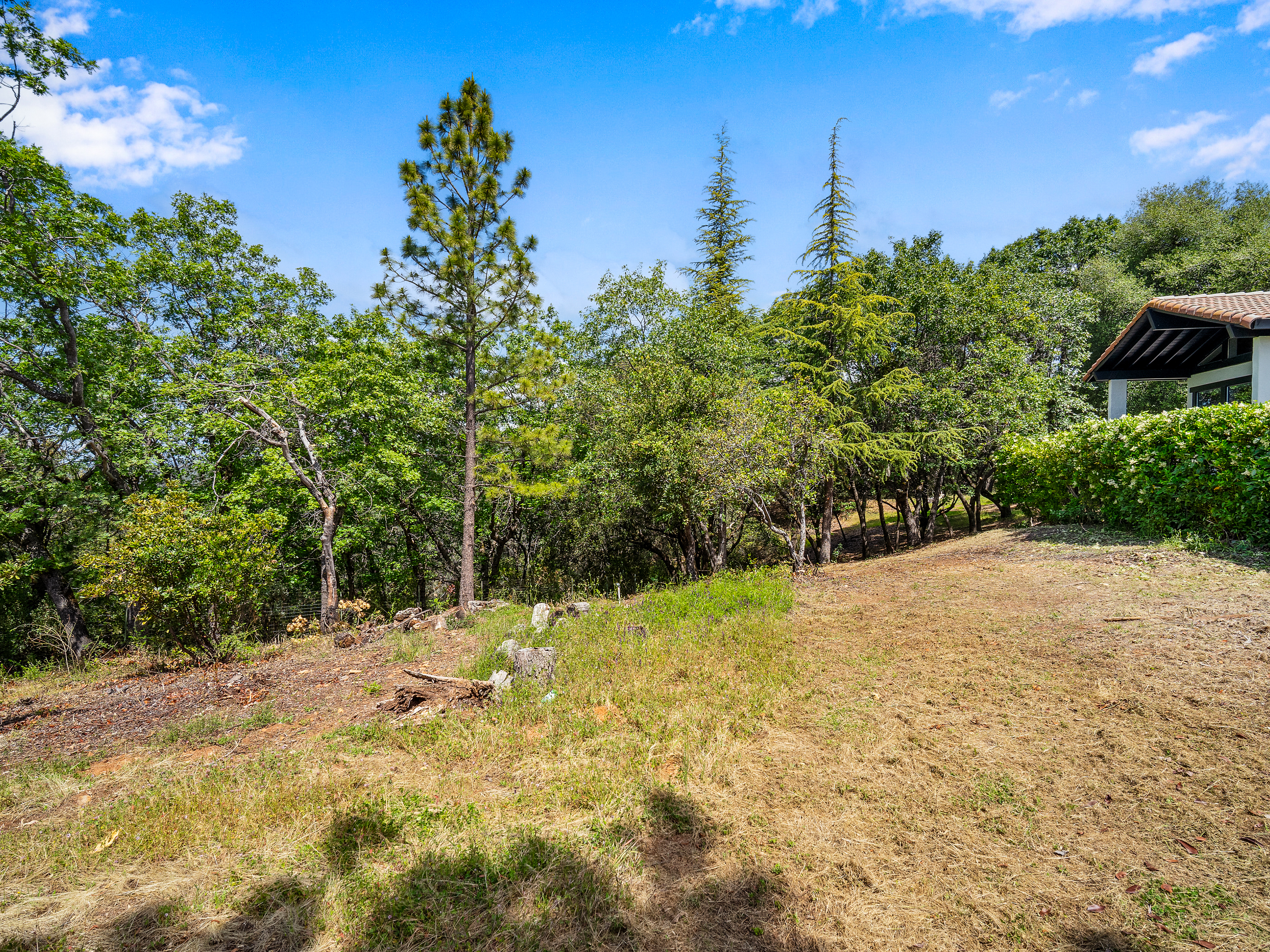  13185 Trent Court, Jackson, CA 95642 - 物件實景