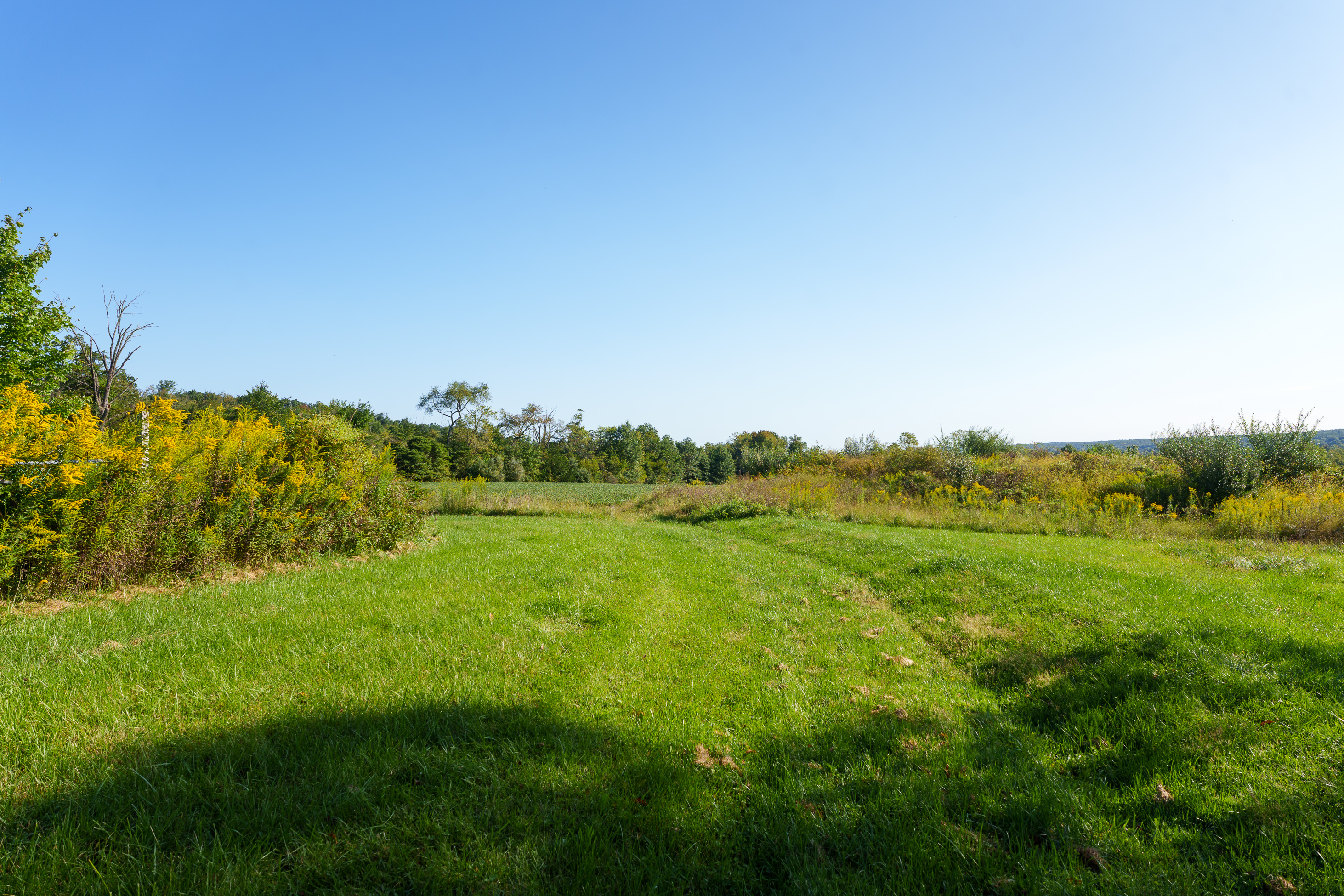  Historic Farmhouse with Nearly 95 Acres - 物件實景