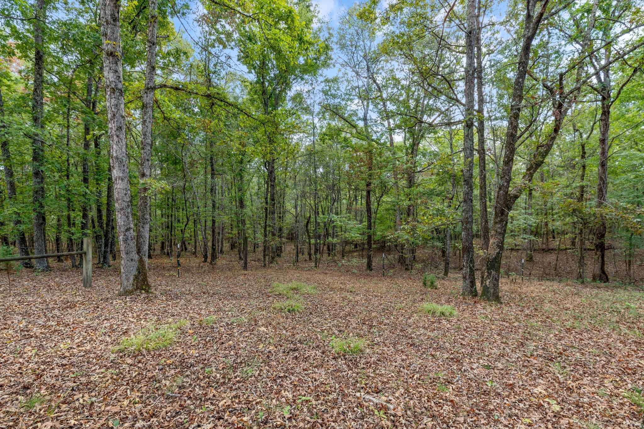 Mc Ewen, Tennessee, 37101, United States, ,Residential,For Sale,1923664
