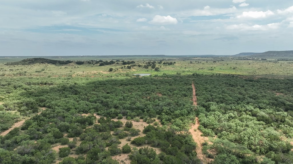 Tennyson, Texas, 76953, United States, ,Land,For Sale,1982007