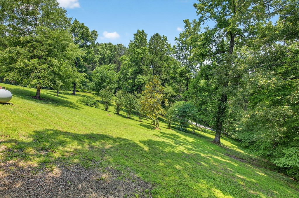 Talking Rock, Georgia, 30175, United States, 5 Bedrooms Bedrooms, ,4 BathroomsBathrooms,Residential,For Sale,1848832