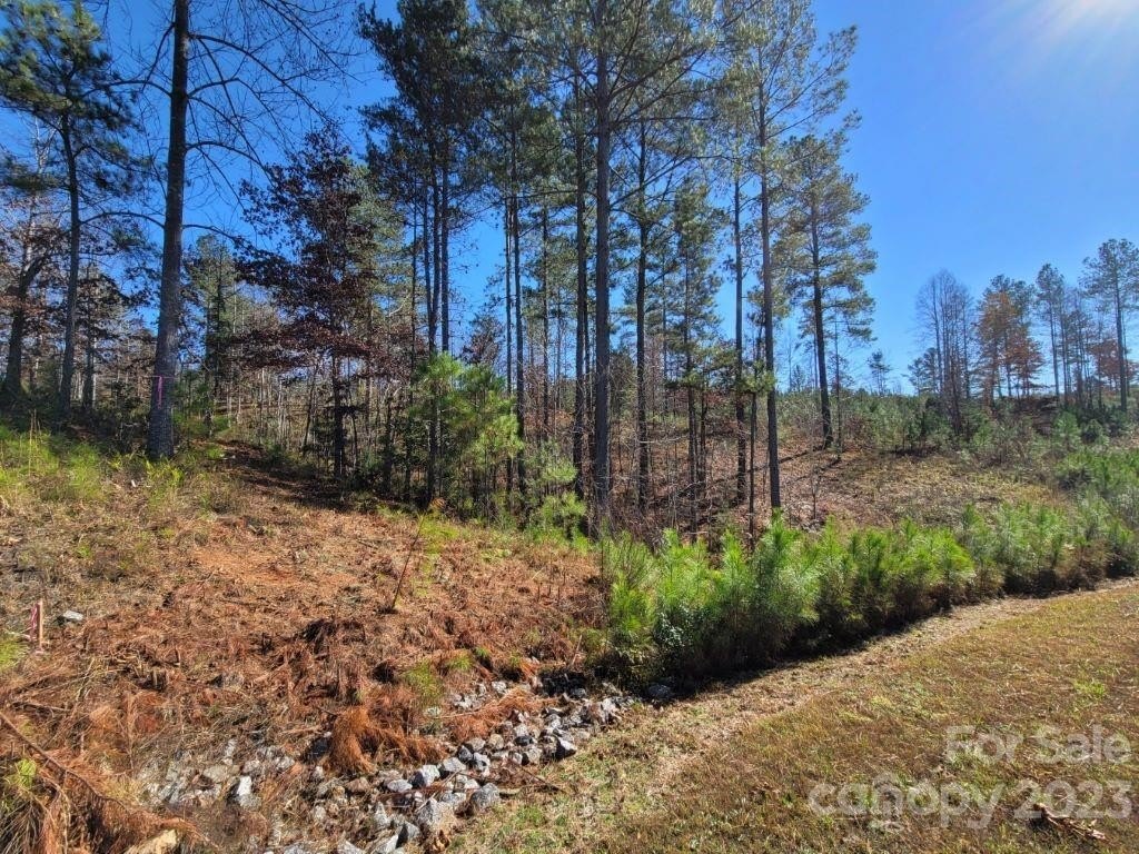 Connelly Springs, North Carolina, 28612, United States, 3 Bedrooms Bedrooms, ,2 BathroomsBathrooms,Residential,For Sale,1928707